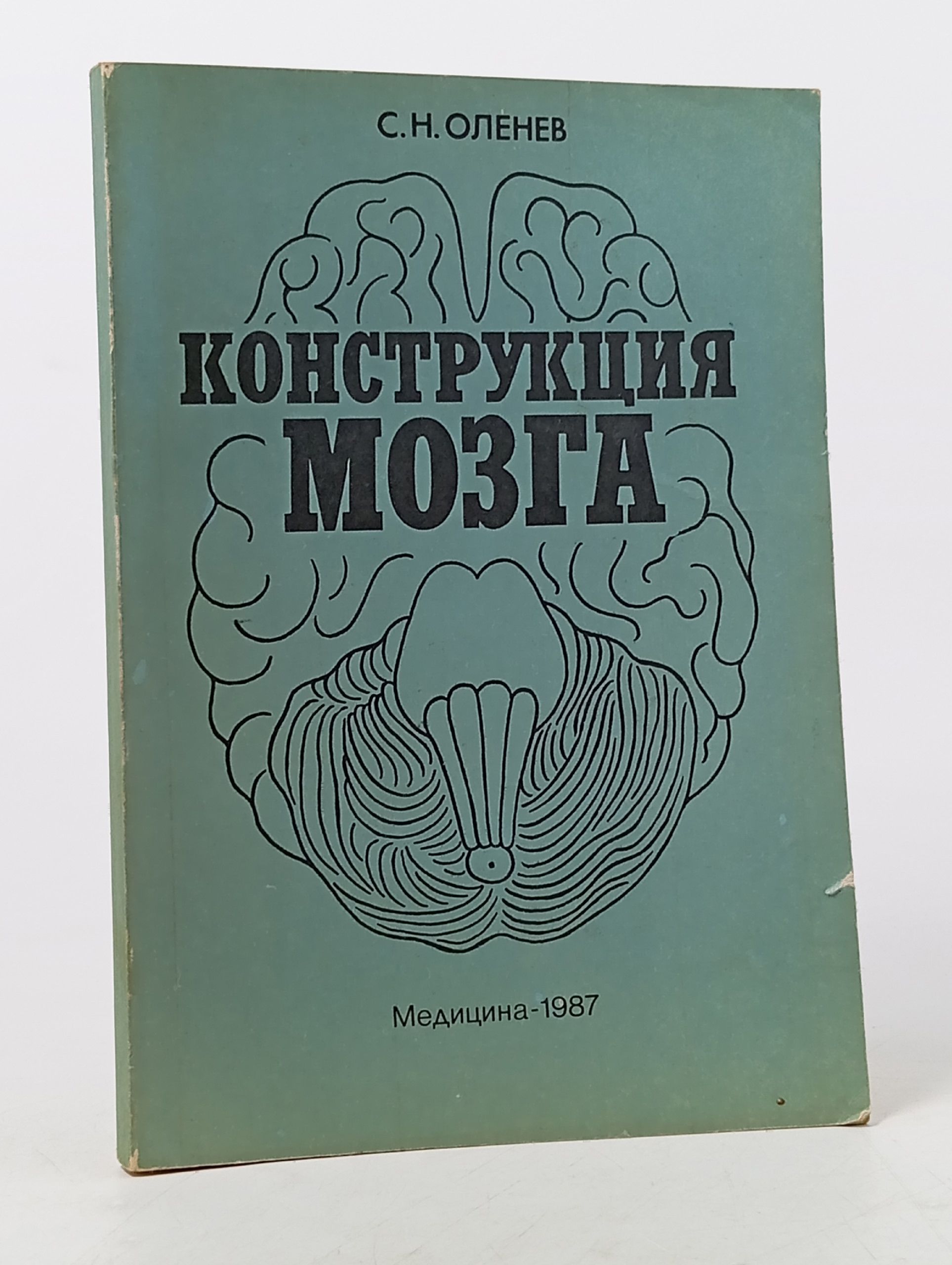Обложка: Конструкция мозга