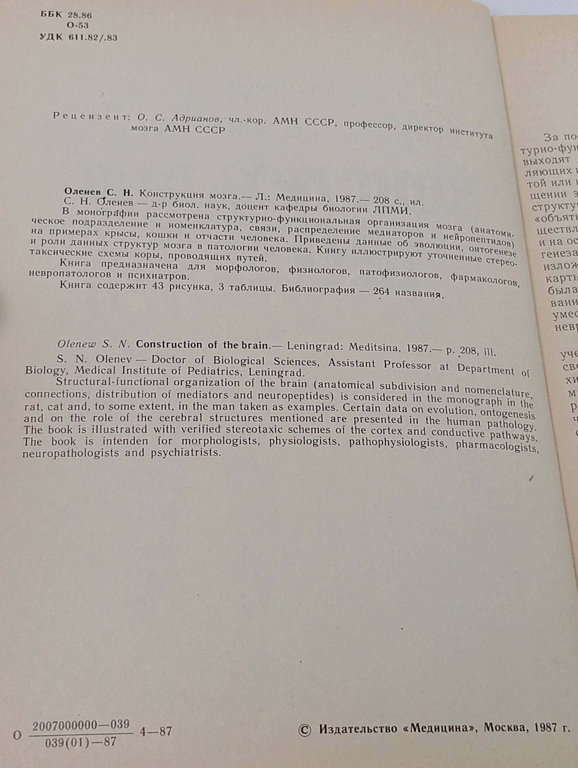 Конструкция мозга