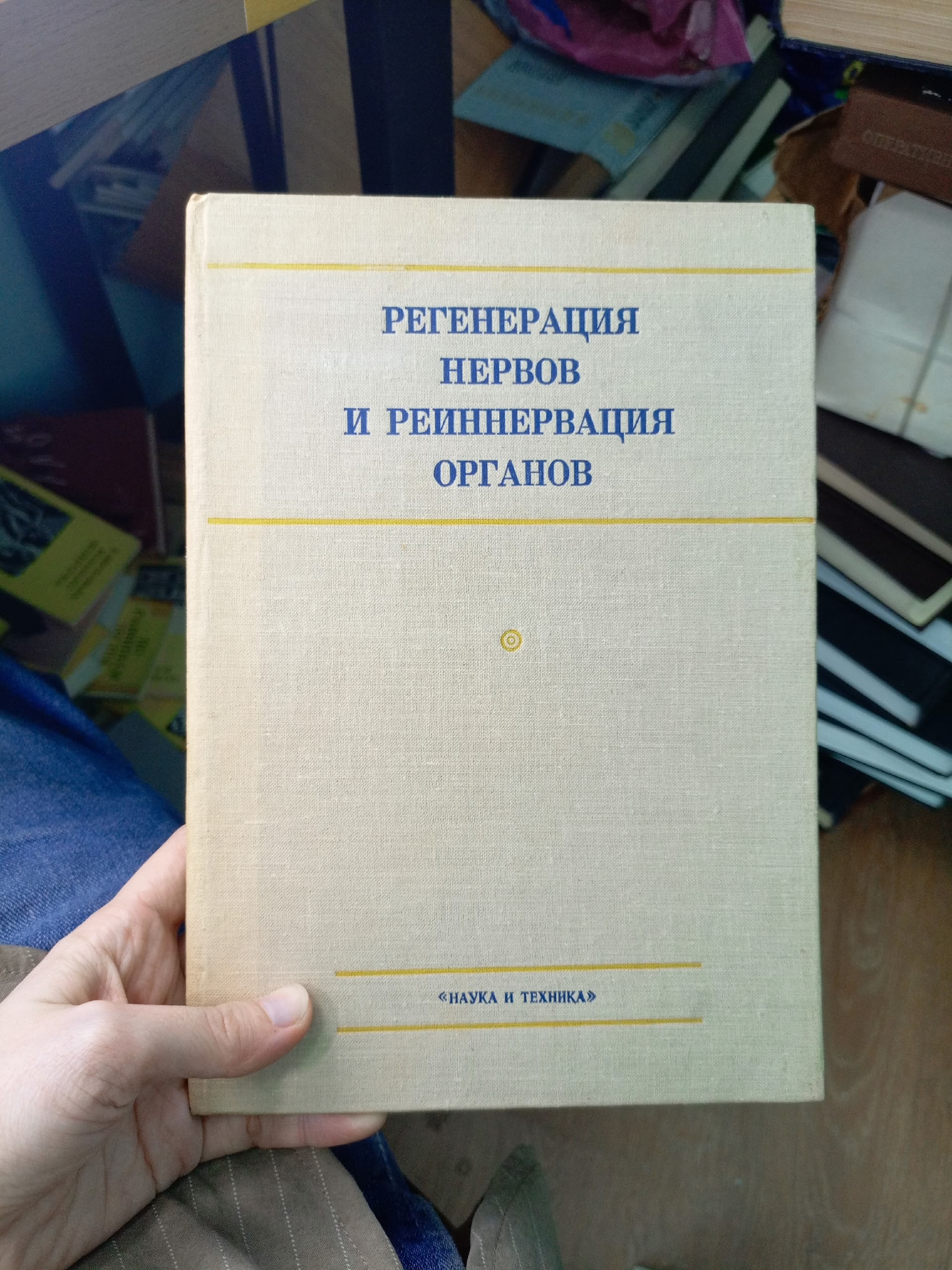 Регенерация нервов и реиннервация органов Голуб Данил