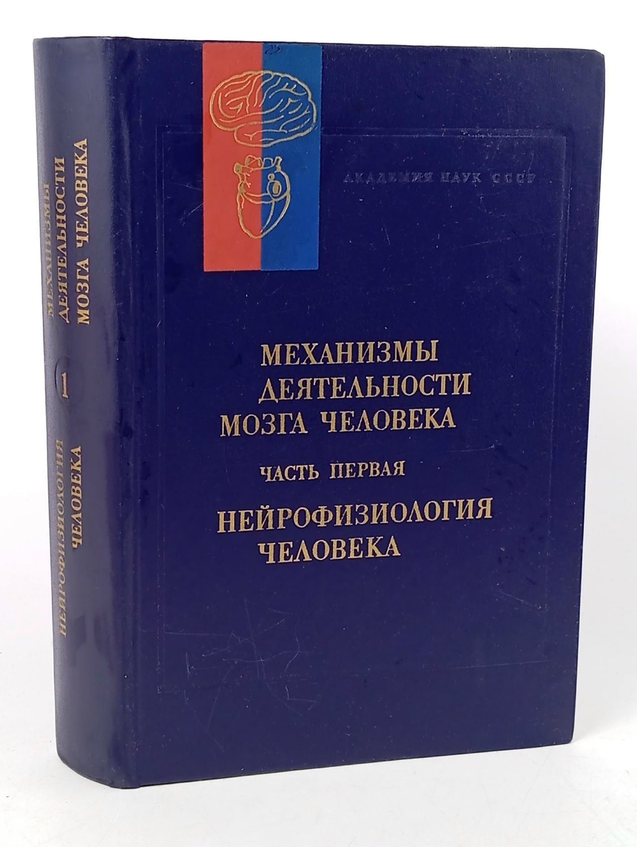 Обложка: Механизмы деятельности мозга человека. Часть 1. Нейрофизиология человека Бехтерева Наталия Петровна