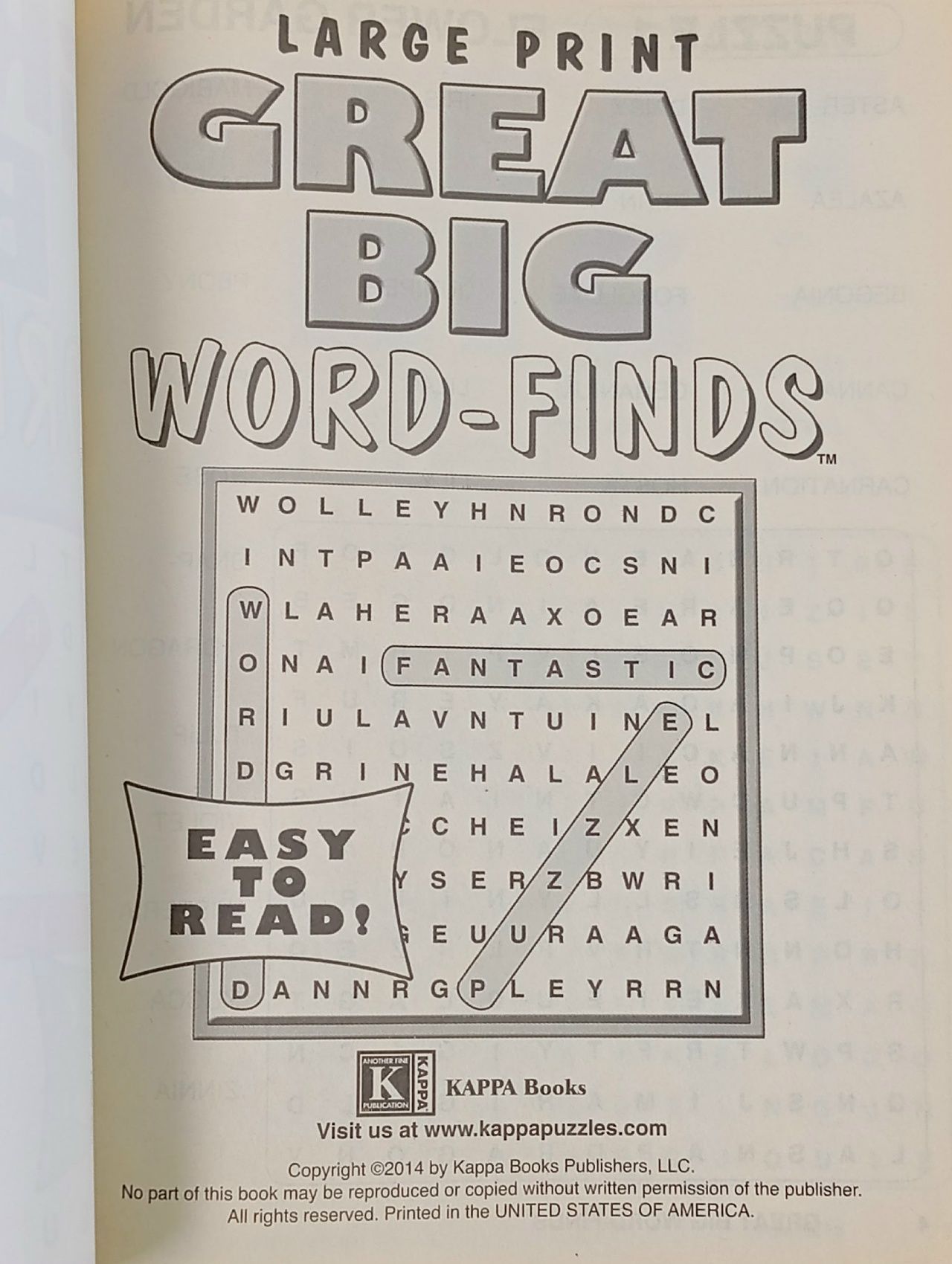 Great Big Word-Finds