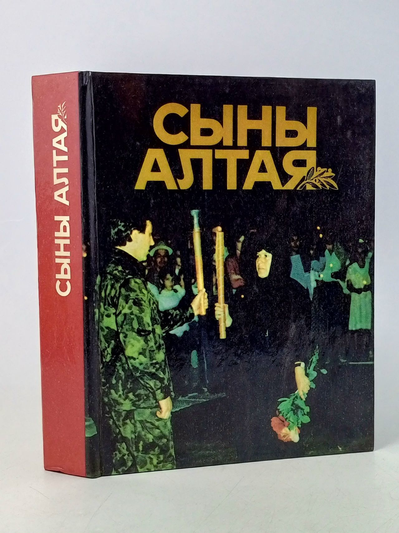 Обложка: Сыны Алтая. Книга памяти