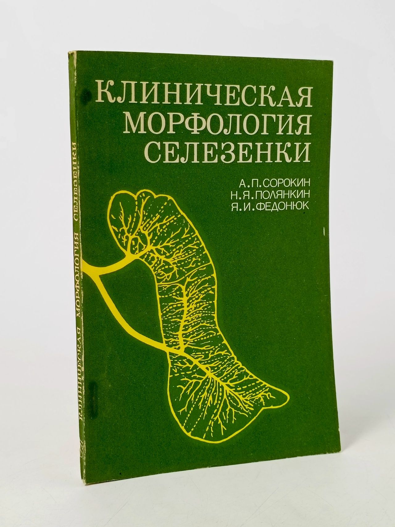 Обложка: Клиническая морфология селезенки Сорокин А.