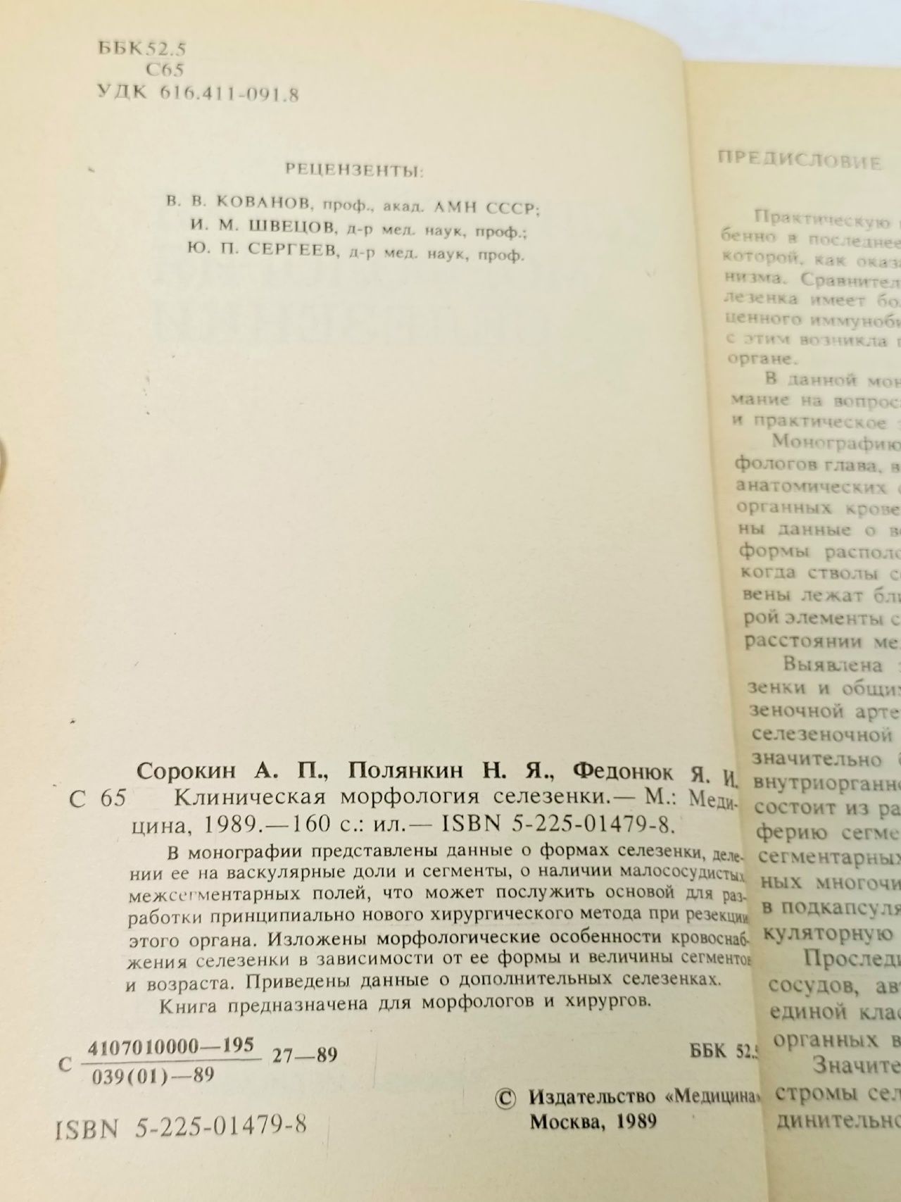 Клиническая морфология селезенки Сорокин А.