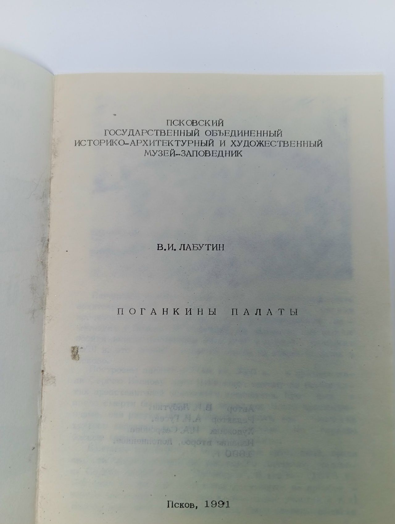 Поганкины палаты