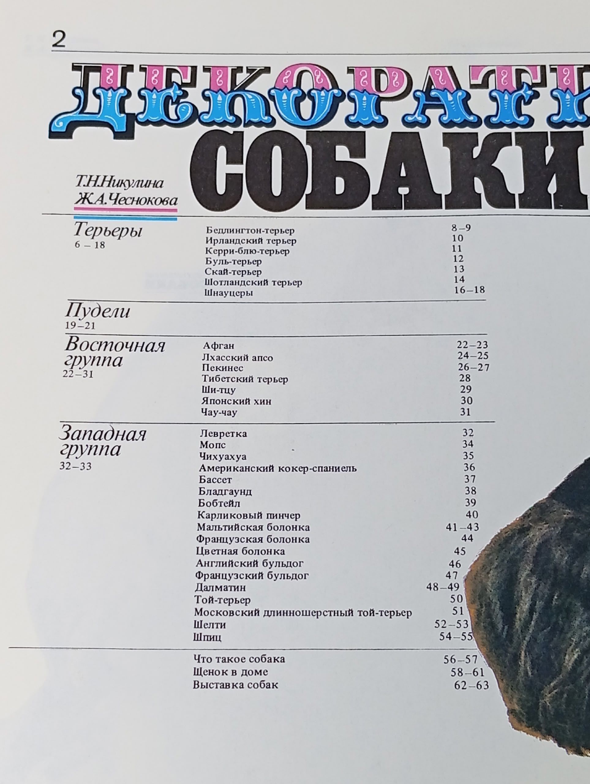 Декоративные собаки Чеснокова Жанетта Августовна, Никулина Татьяна Николаевна