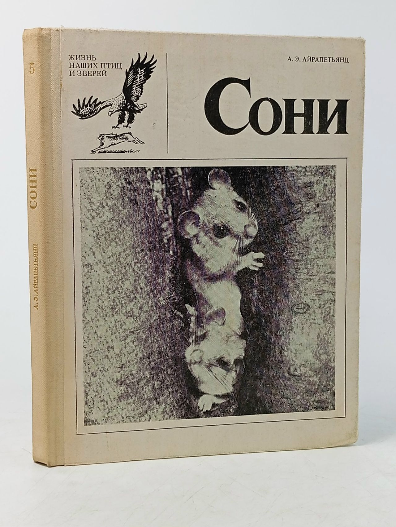 Обложка: Сони. Айрапетьянц Анна Эрвандовна