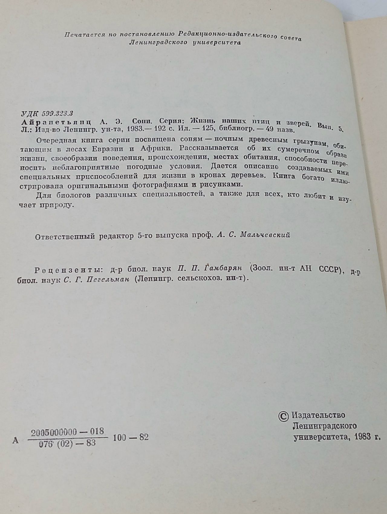 Сони. Айрапетьянц Анна Эрвандовна