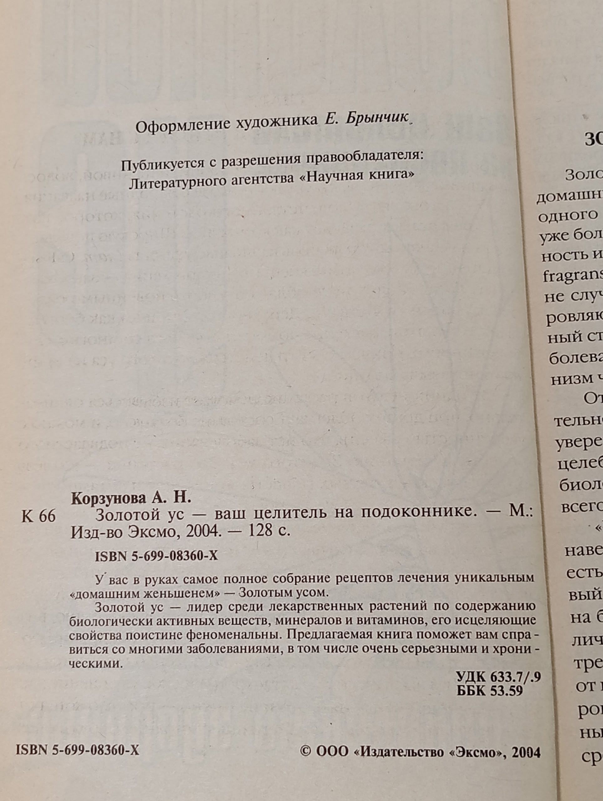 Золотой ус - ваш целитель на подоконнике