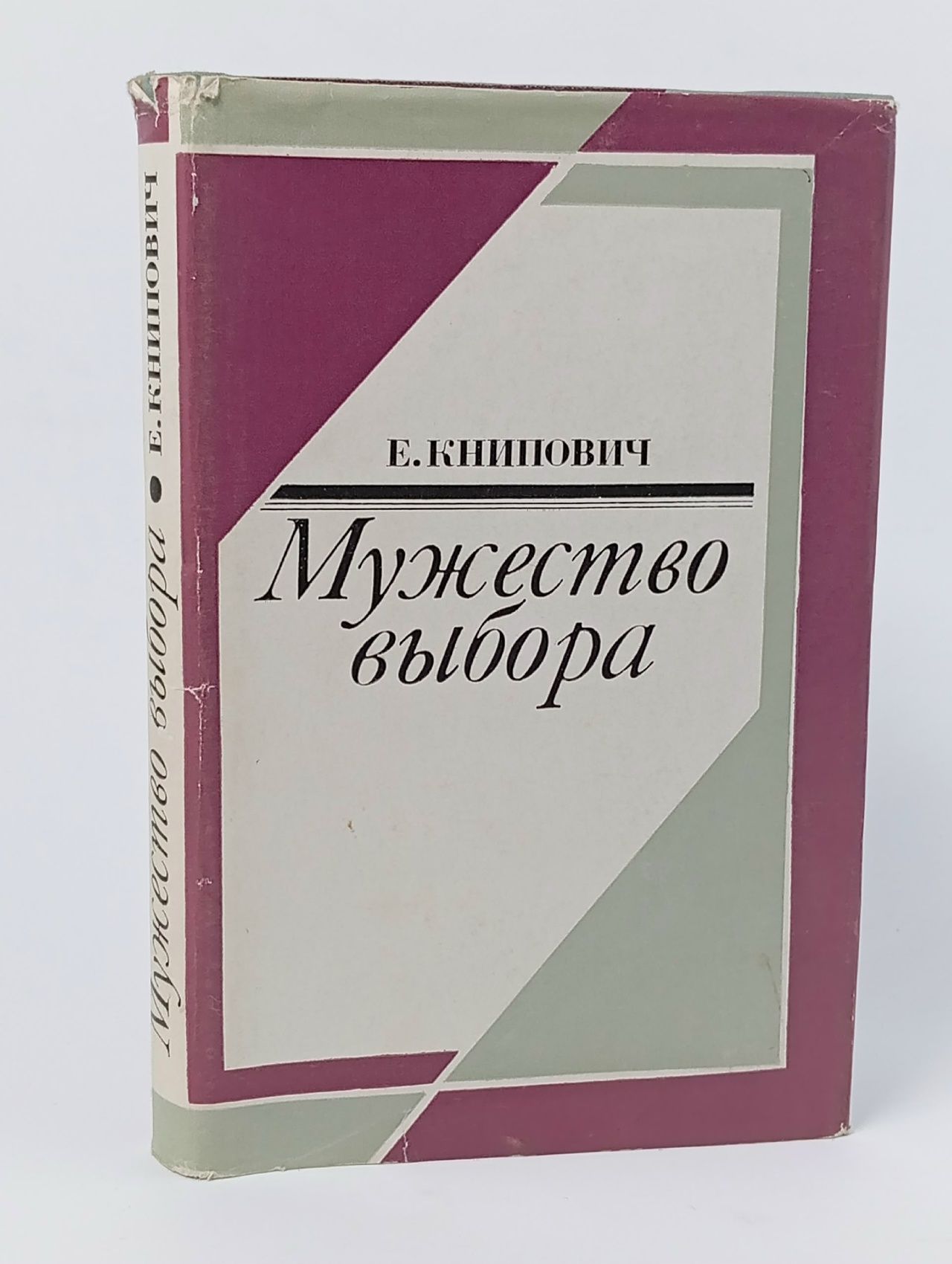 Обложка: Мужество выбора Книпович Евгения Федоровна