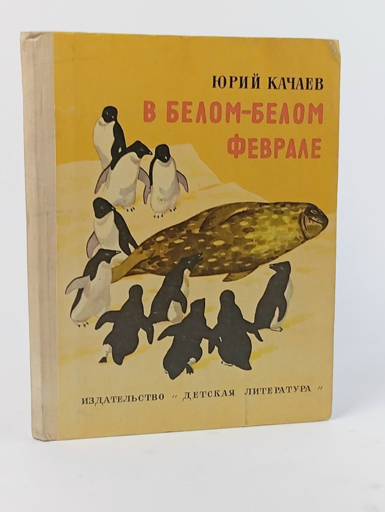 Обложка: В белом-белом феврале Качаев Юрий Григорьевич