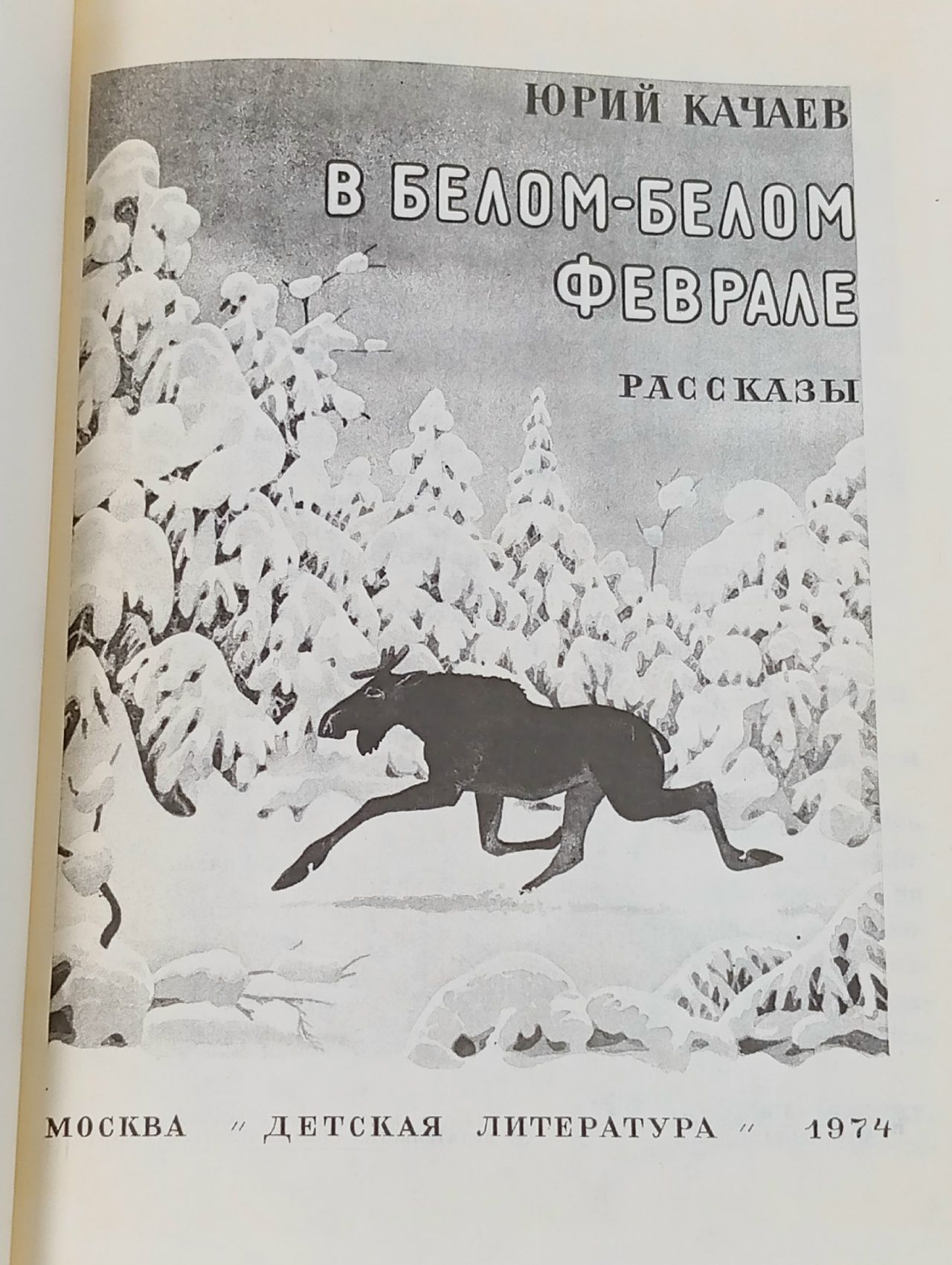 В белом-белом феврале Качаев Юрий Григорьевич
