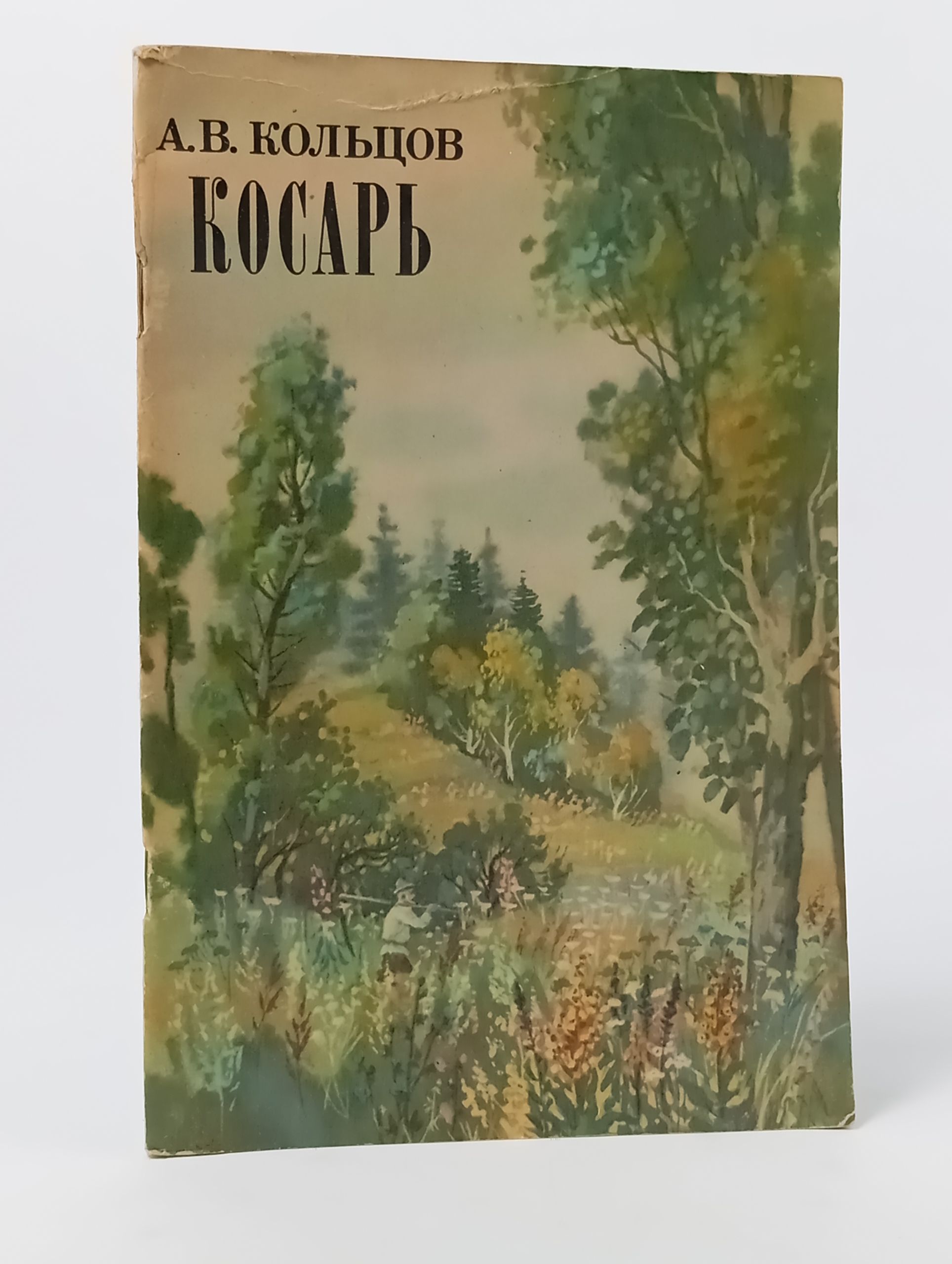 Обложка: Косарь