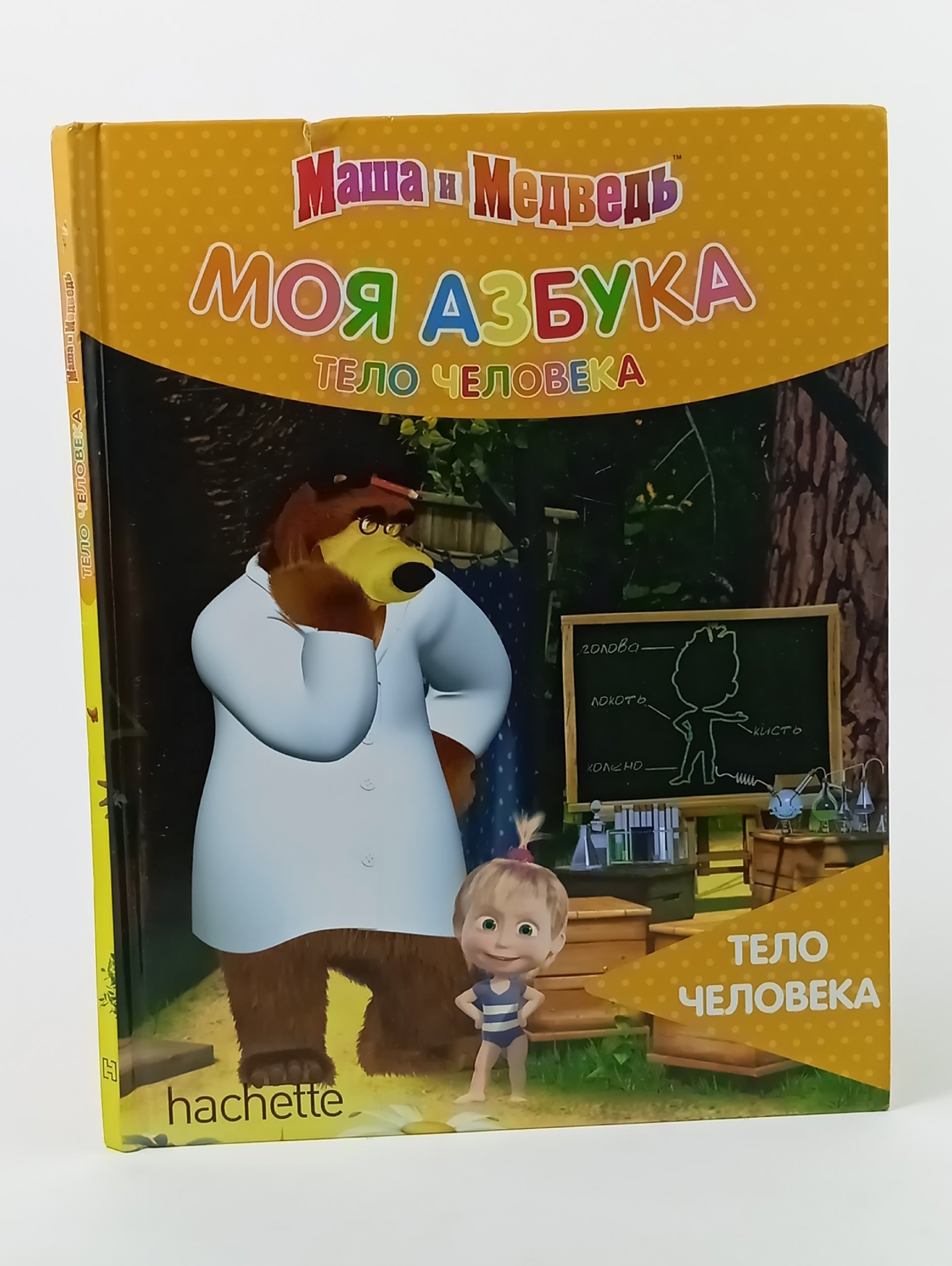 Обложка: Моя азбука Маша и Медведь. Тело человека
