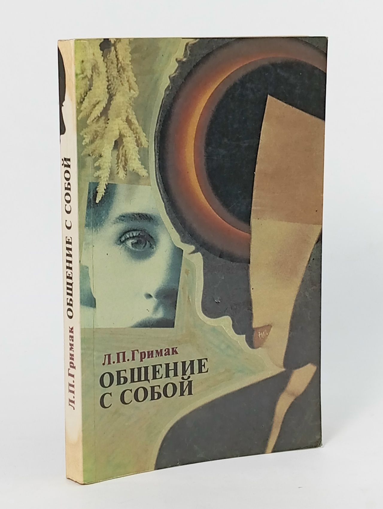Обложка: Общение с собой: Начала психологии активности