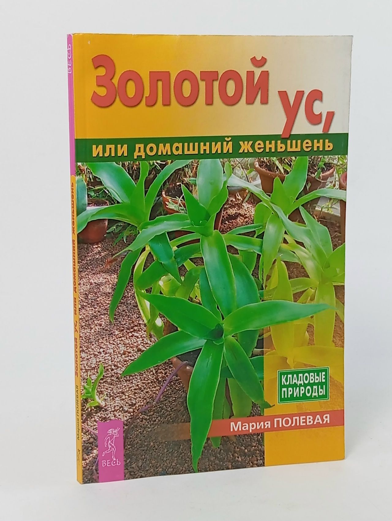 Обложка: Мария Полевая: Золотой ус, или домашний женьшень