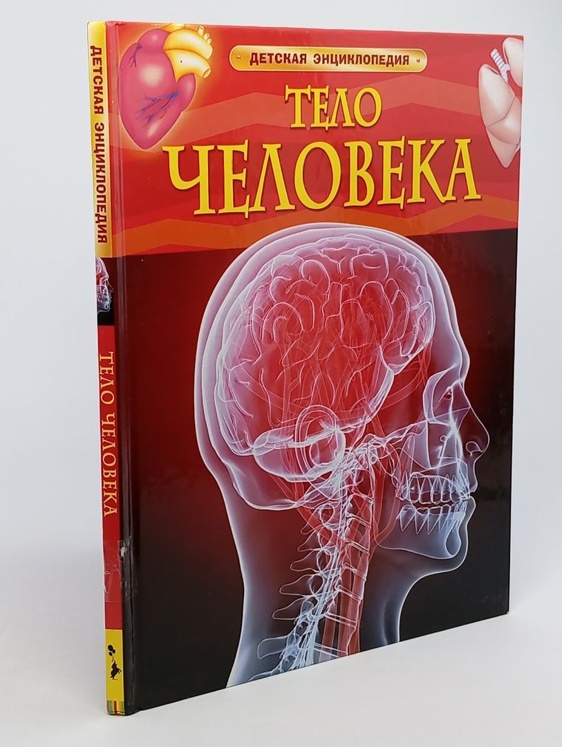 Обложка: Тело человека. Детская энциклопедия