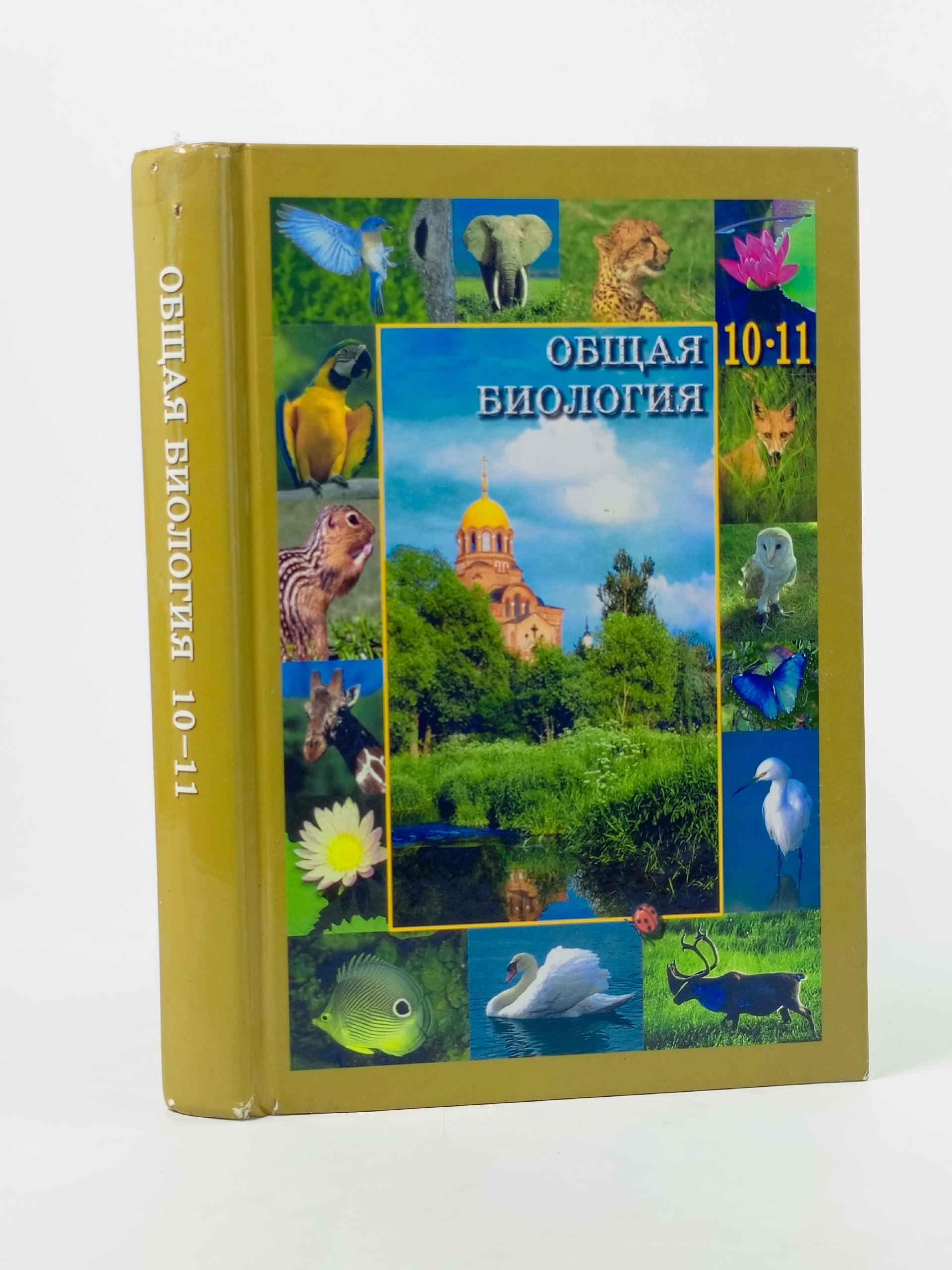 Обложка: Общая биология. Учебник для 10-11 классов