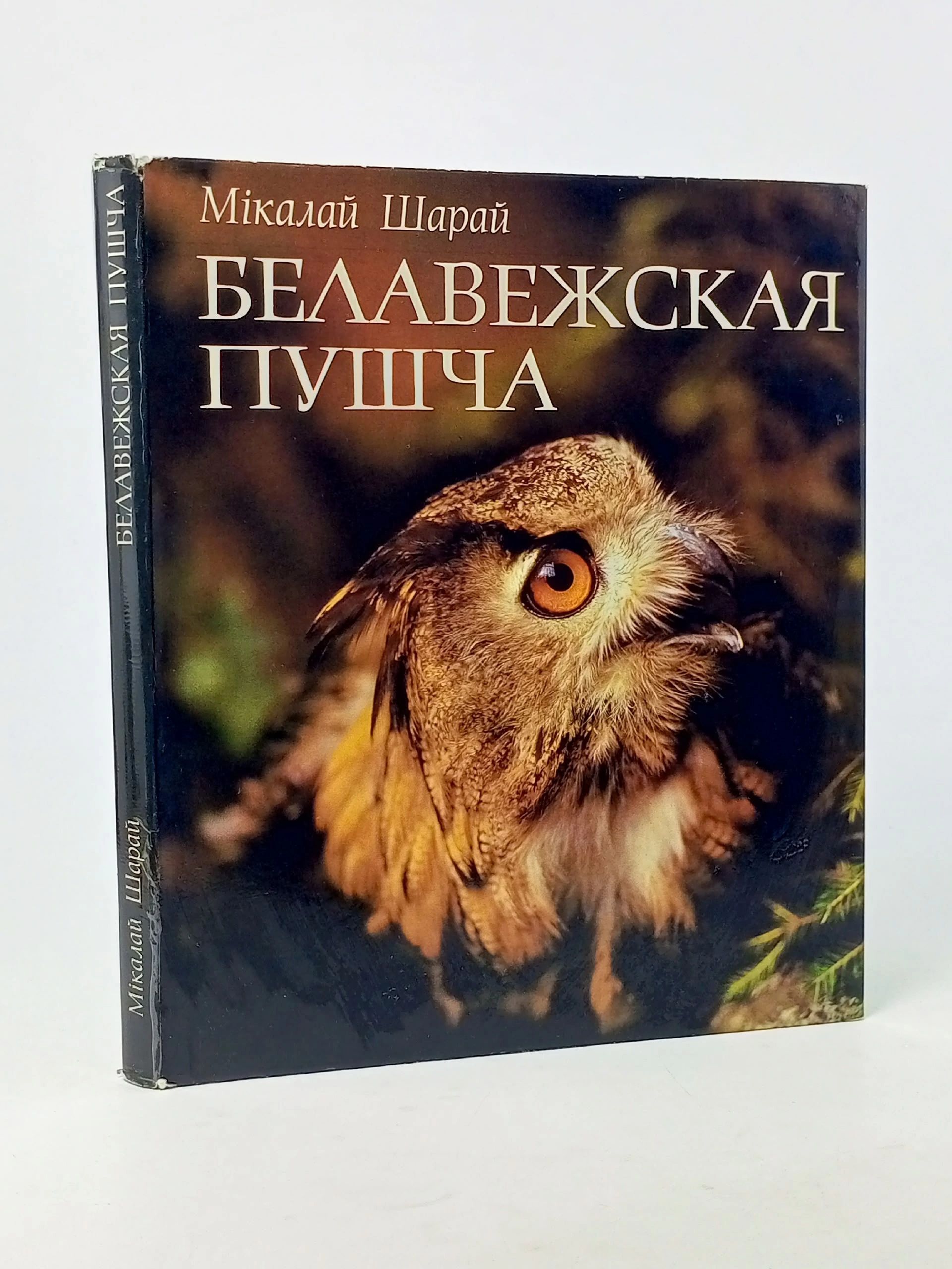 Обложка: Белавежская пушча