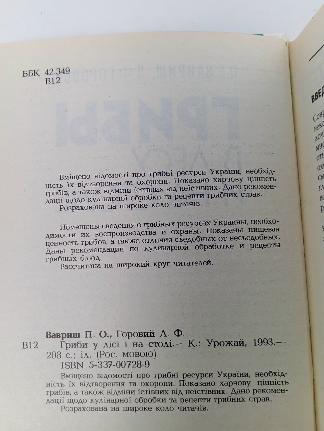 Грибы в лесу и на столе
