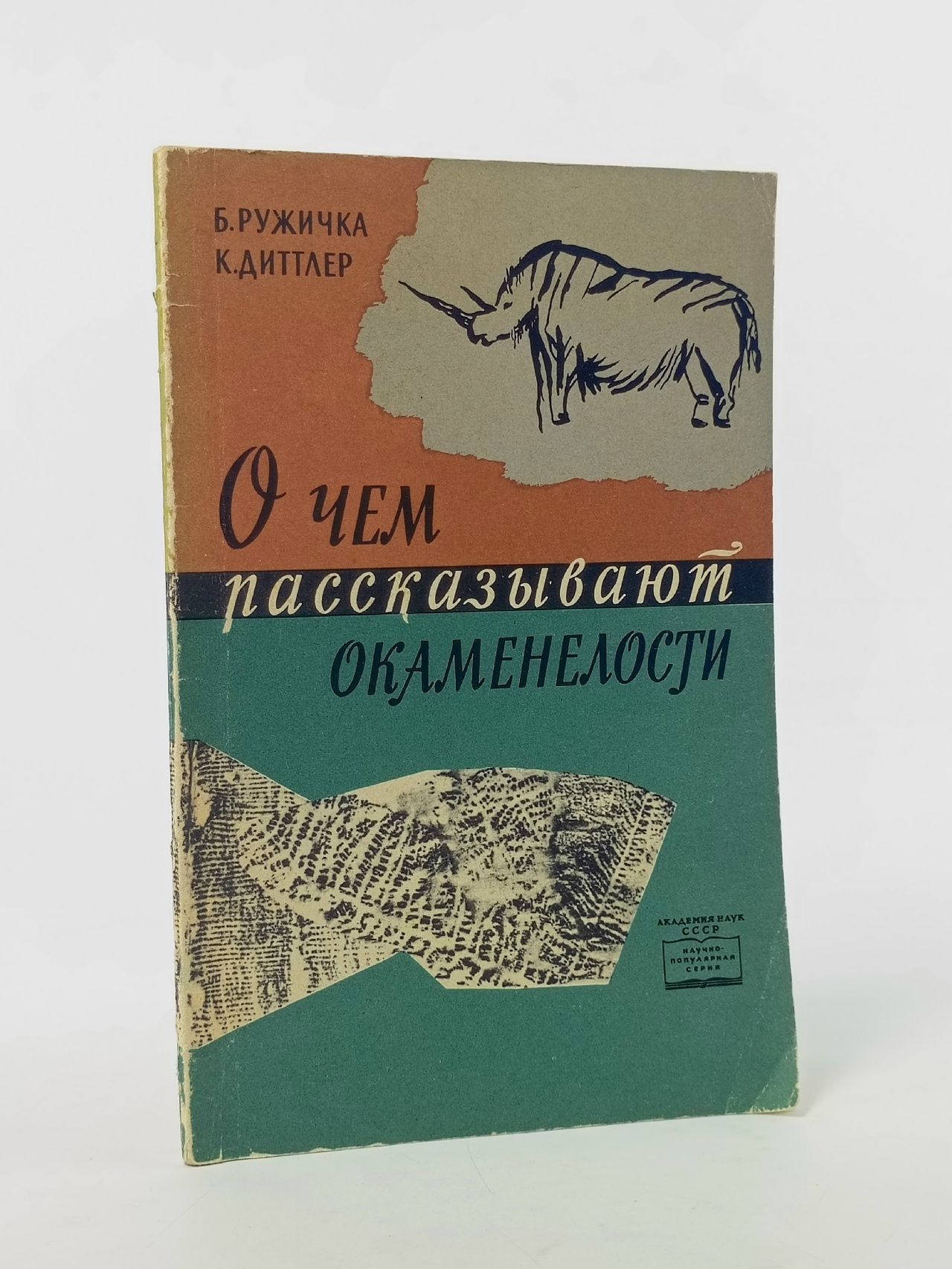 Обложка: О чем рассказывают окаменелости Ружичка Богуслав, Диттлер Карел