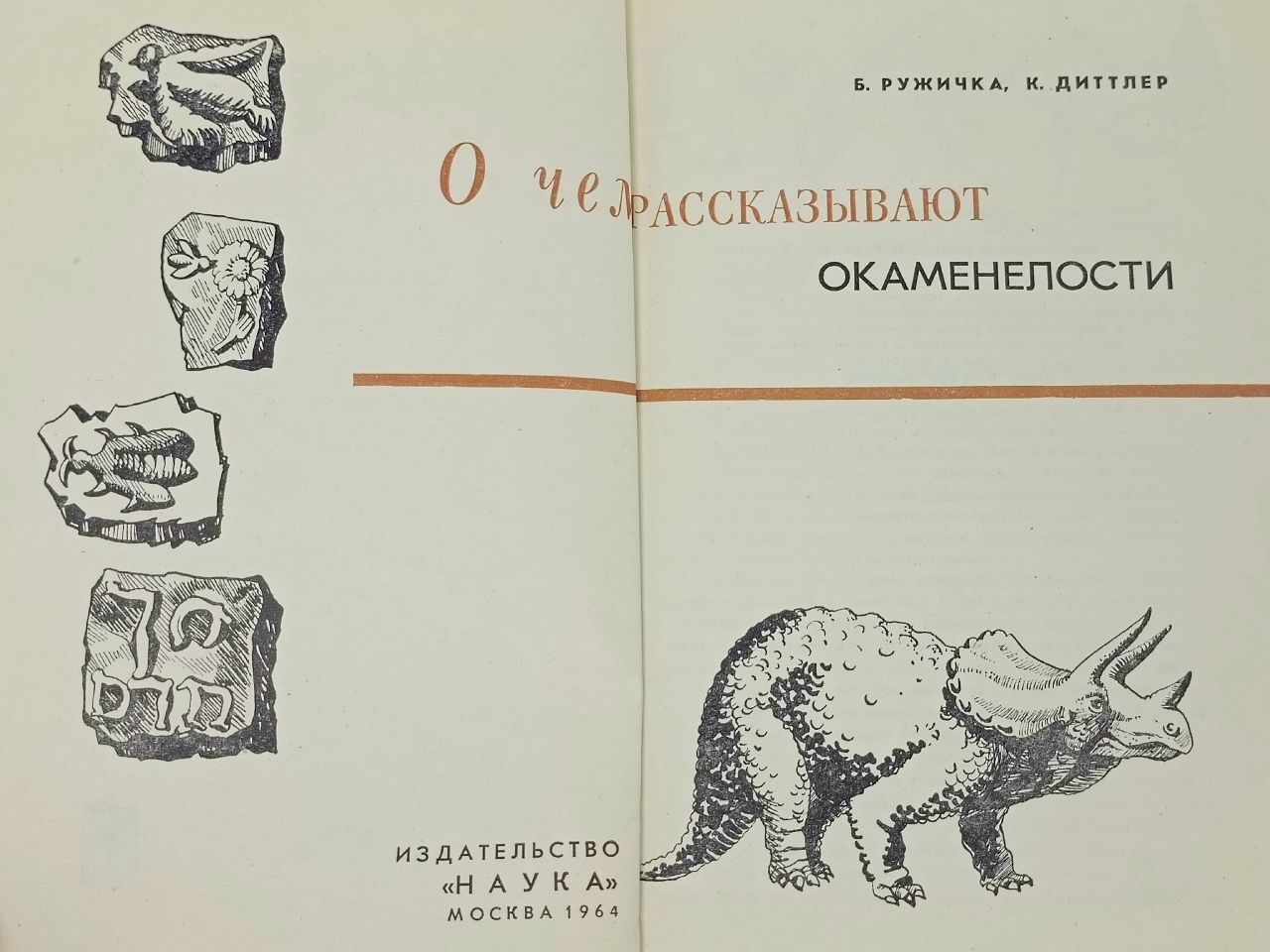 О чем рассказывают окаменелости Ружичка Богуслав, Диттлер Карел