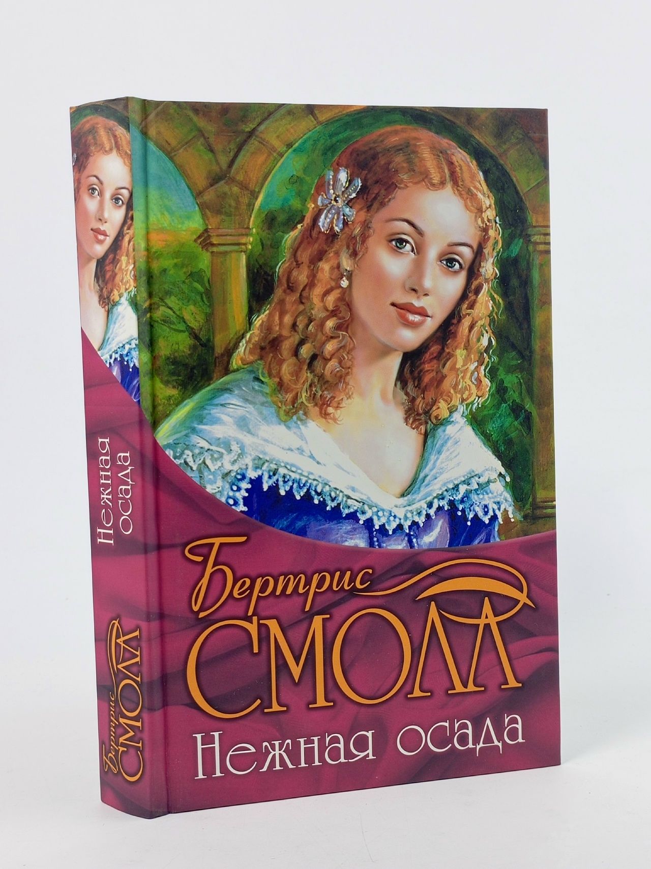 Обложка: Нежная осада Смолл Бертрис