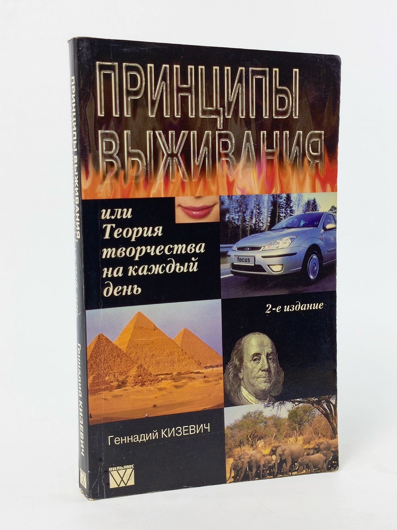Обложка: Принципы выживания, или Теория творчества на каждый день Книга б/у
