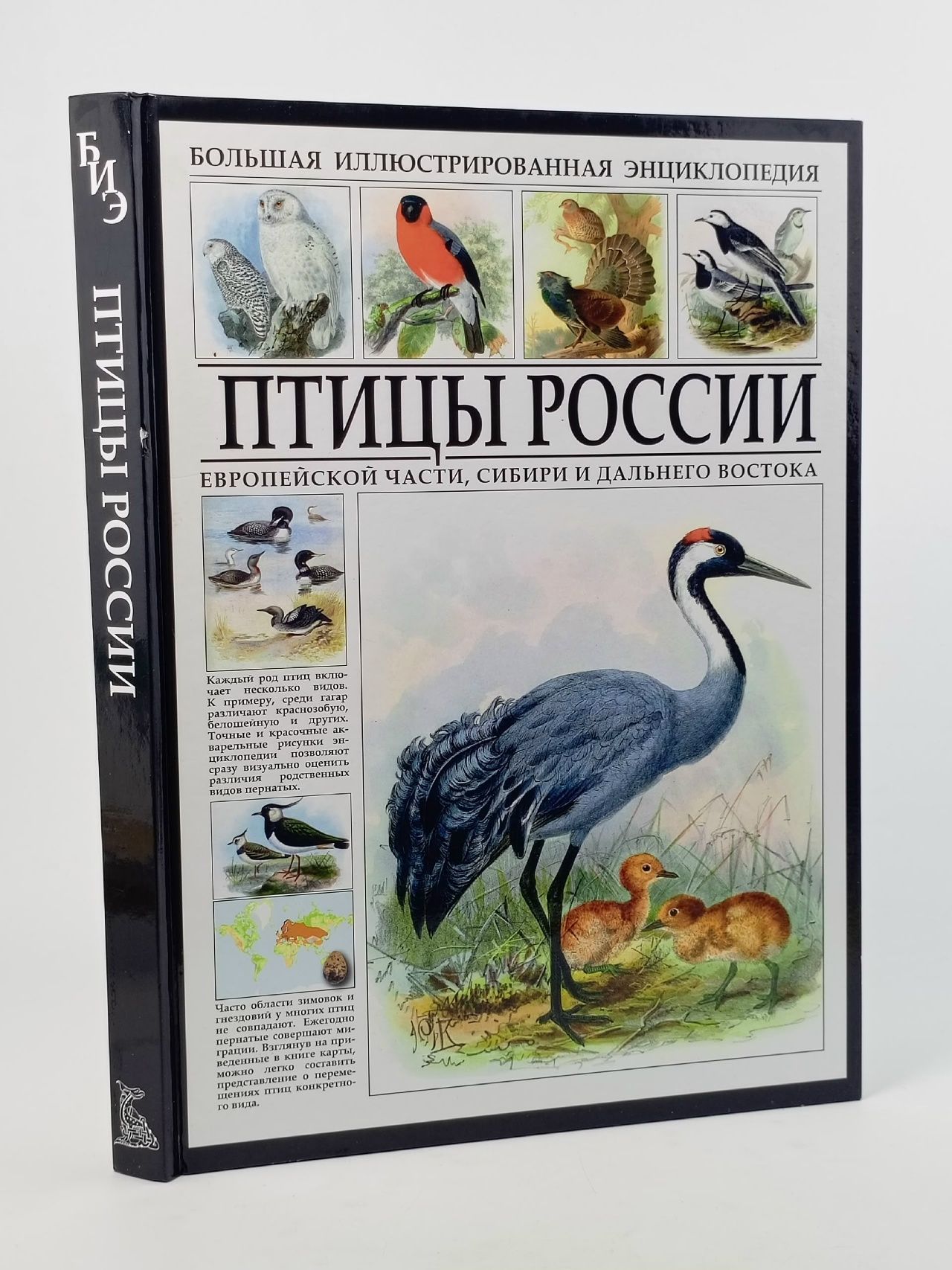 Обложка: Птицы России