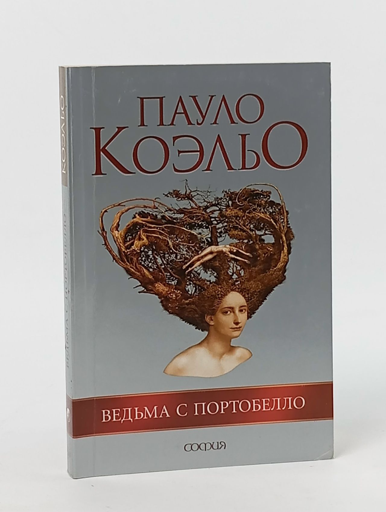 Обложка: Ведьма с Портобелло