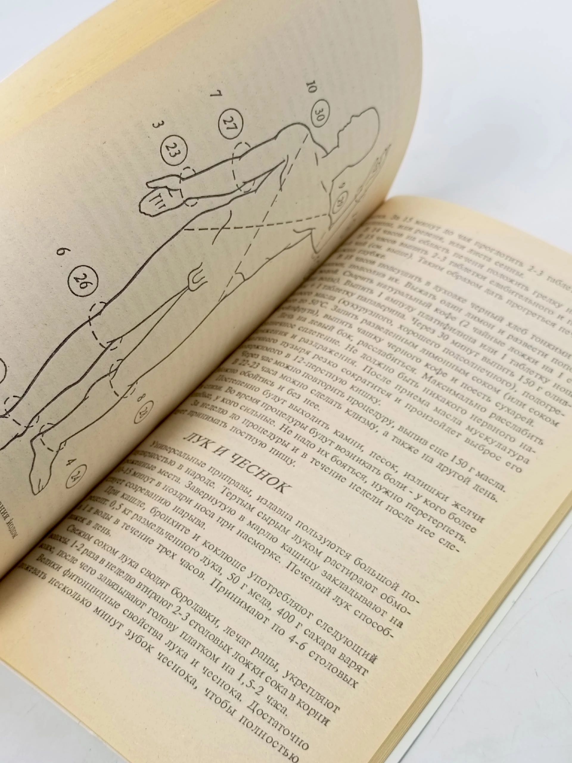 Траволечение и народная медицина. Сборник по народной медицине и нетрадиционным способам лечения