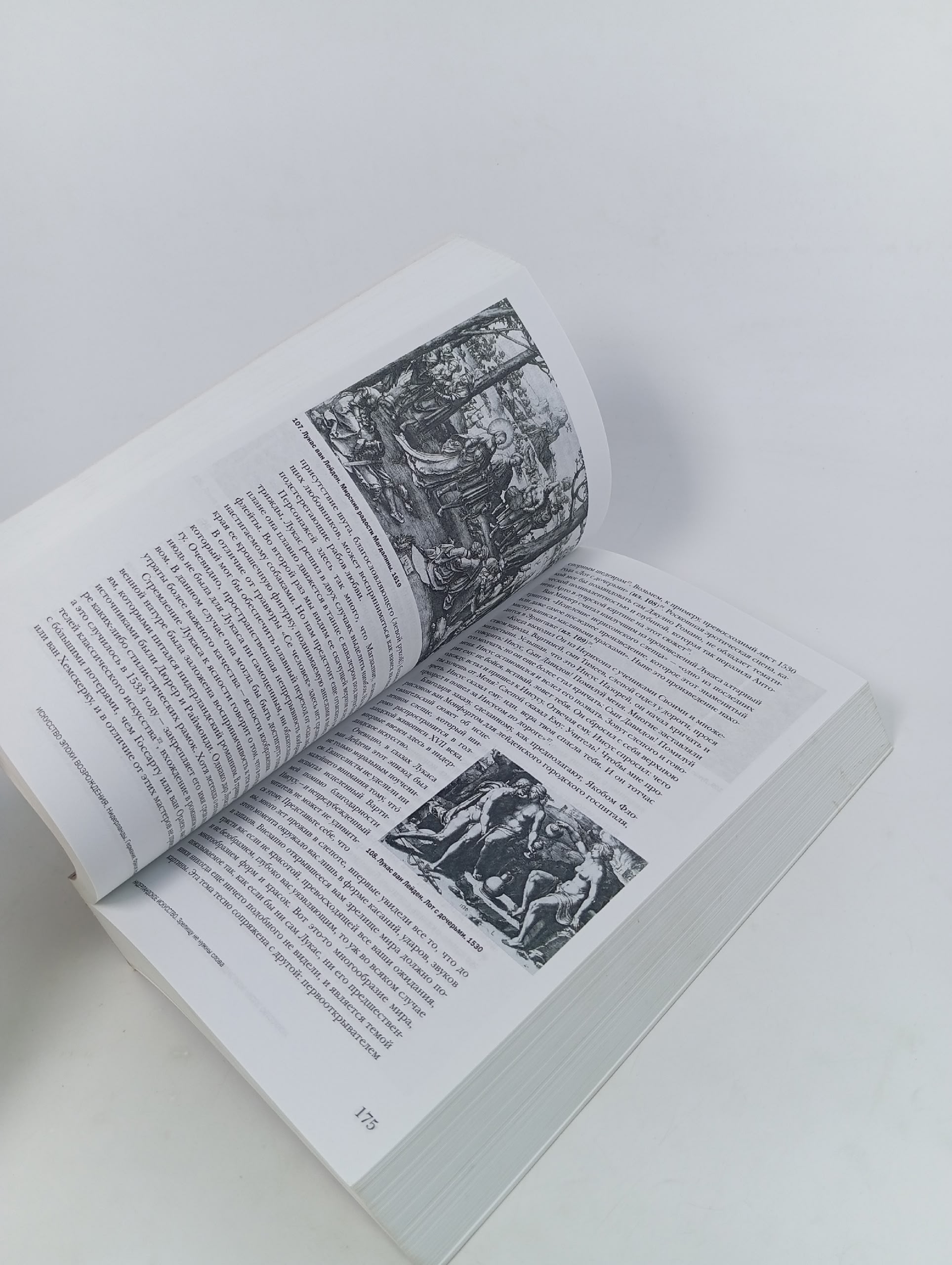 Искусство эпохи Возрождения. Нидерланды. Германия. Франция. Испания. Англия Степанов А.