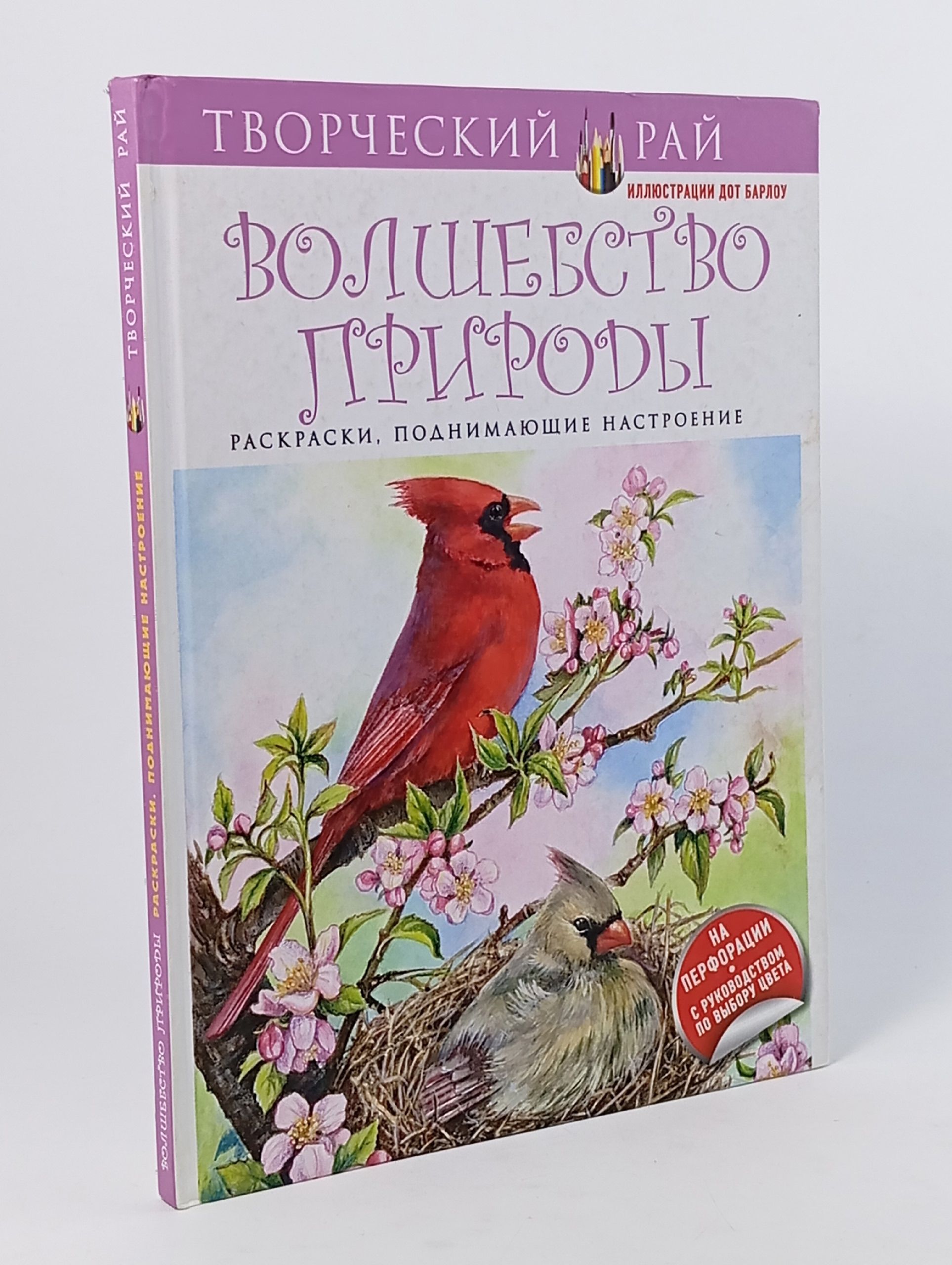 Обложка: Журнал. Волшебство природы