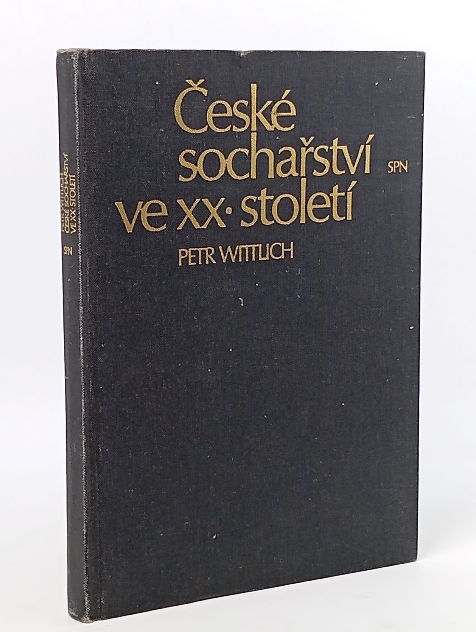 Обложка: Ceske socharstvi ve xx stoleti