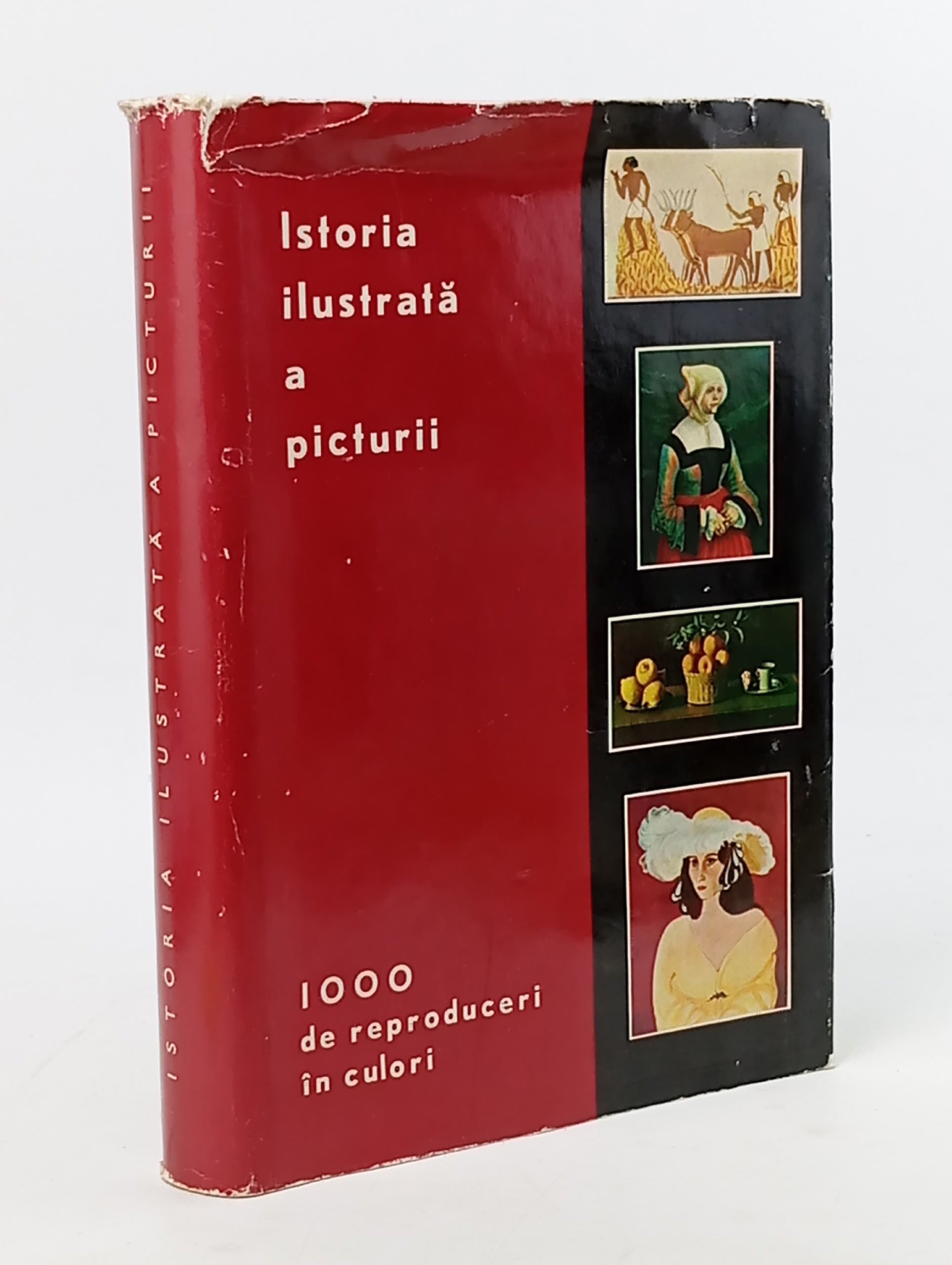 Обложка: Istoria ilustrata a picturii