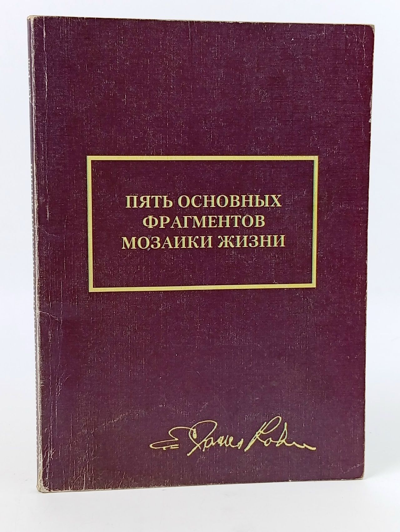Обложка: Пять основных фрагментов мозаики жизни Рон Джим