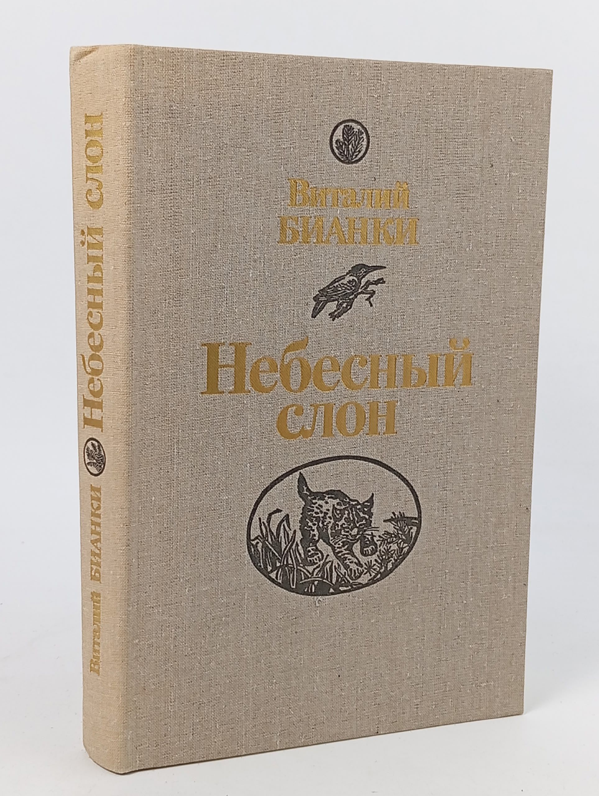 Обложка: Небесный слон