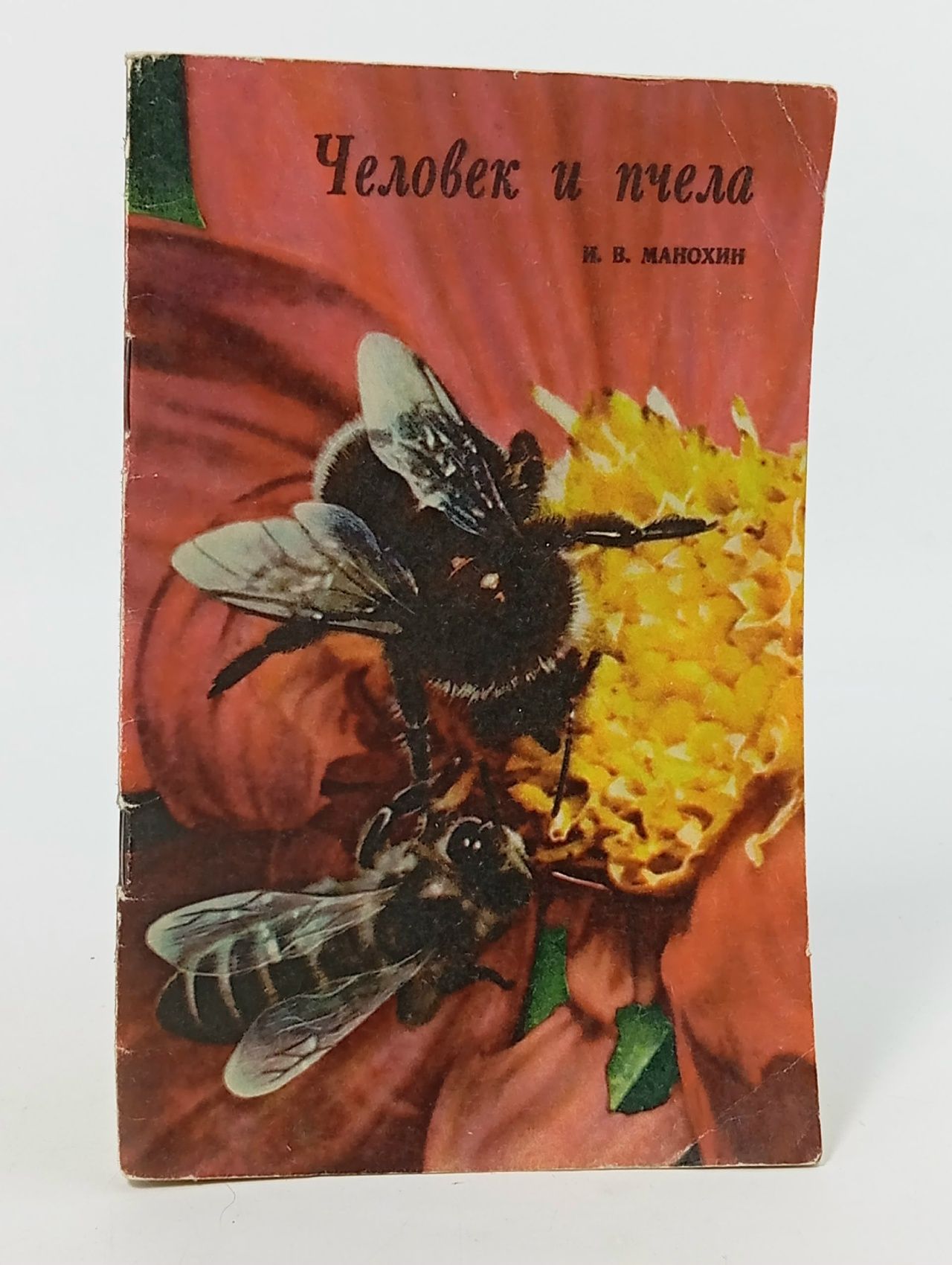 Обложка: Человек и Пчела Манохин А.