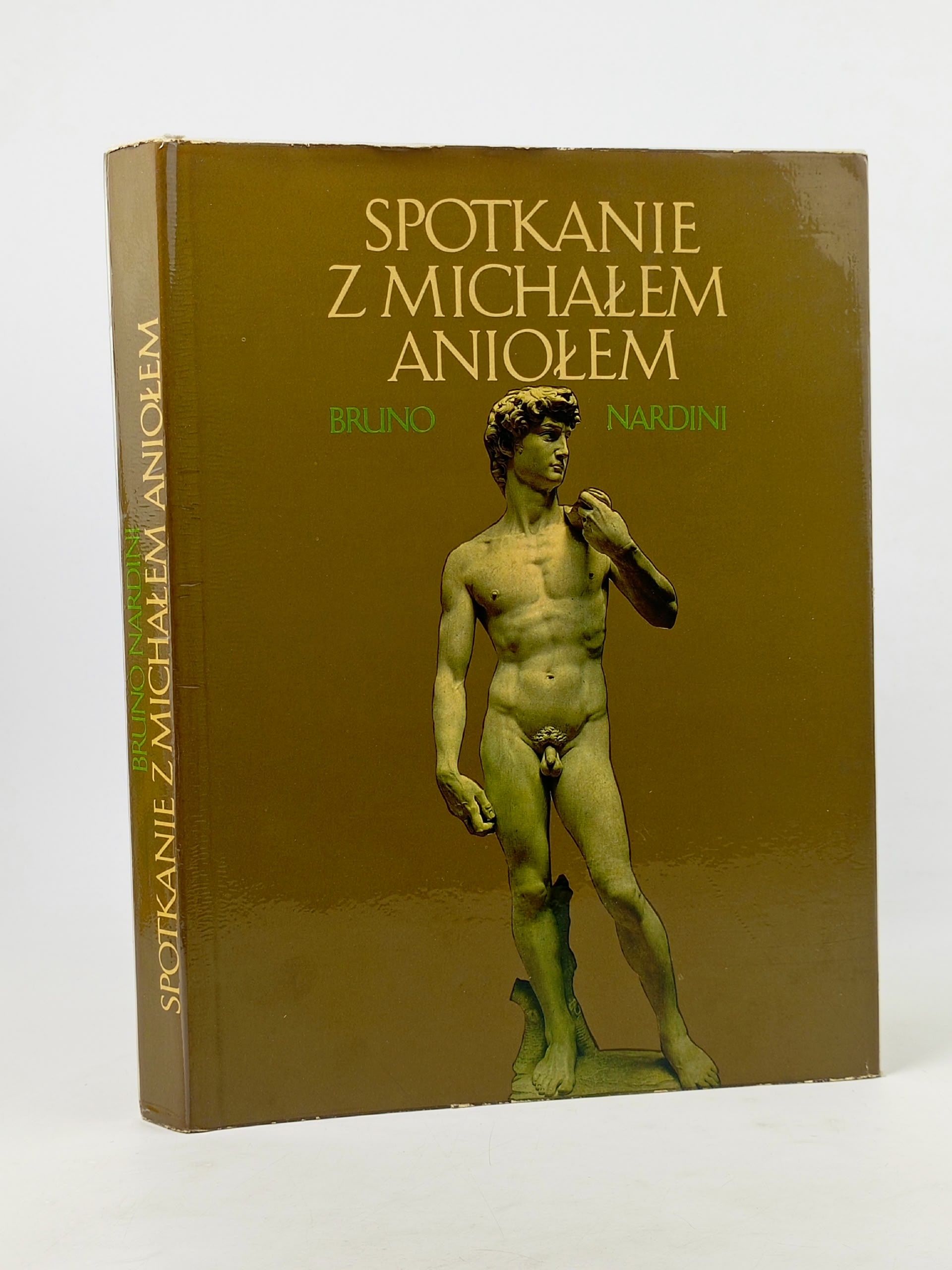 Обложка: Spotkanie Z Michalem aniolem.