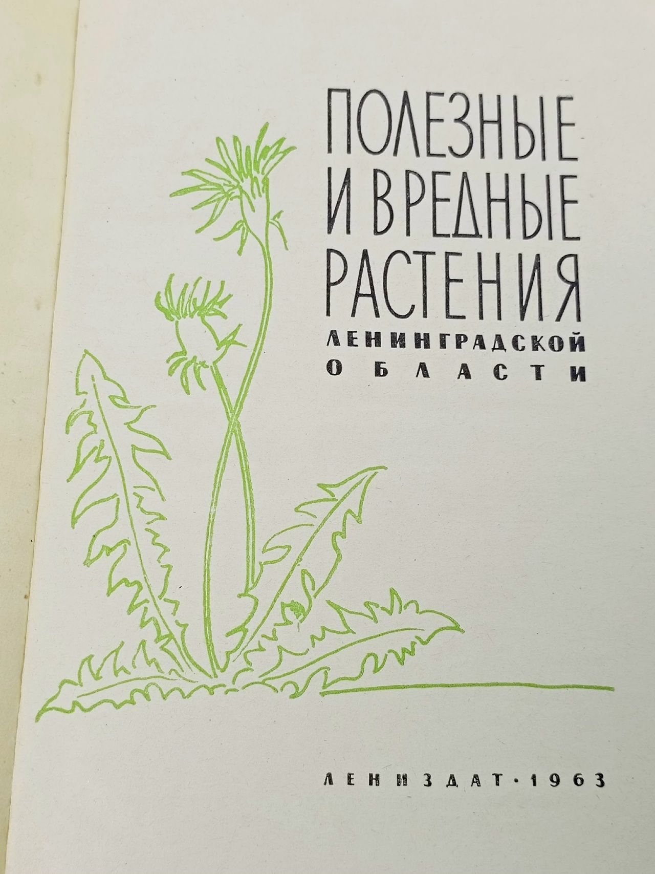 Полезные и вредные растения Ленинградской области