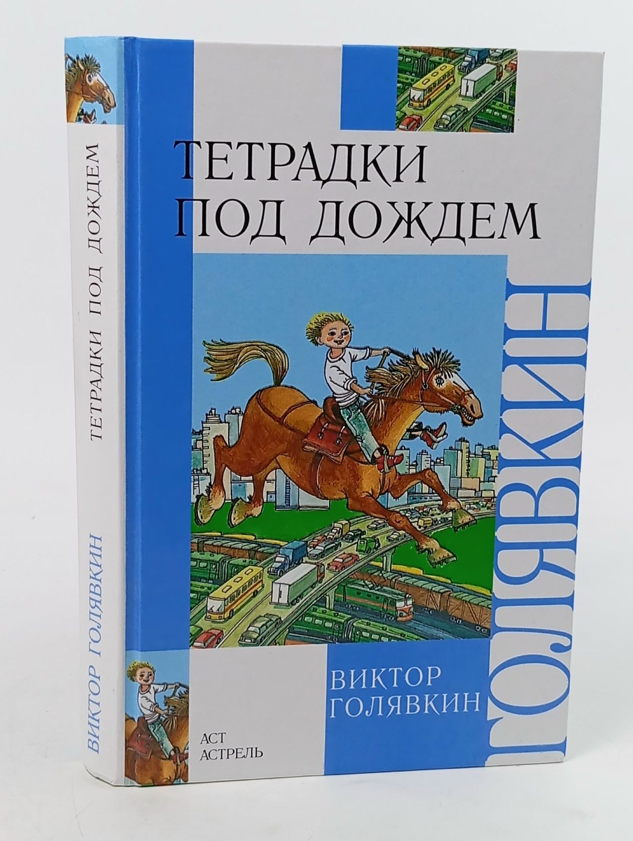 Обложка: Внеклассное чтение. Тетрадки под дождем Голявкин Виктор Владимирович