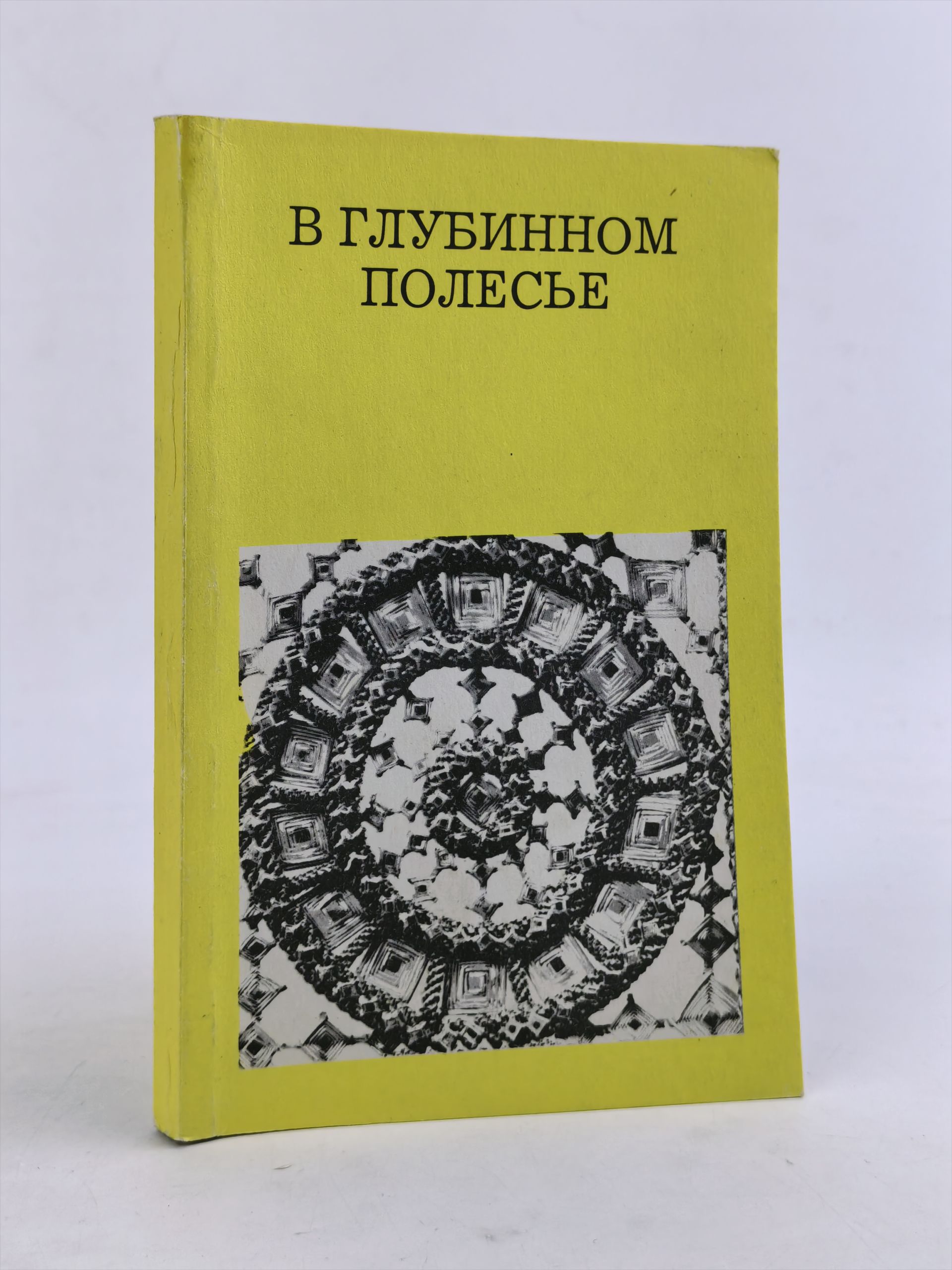 Обложка: В глубинном Полесье (Турово-пинская земля)