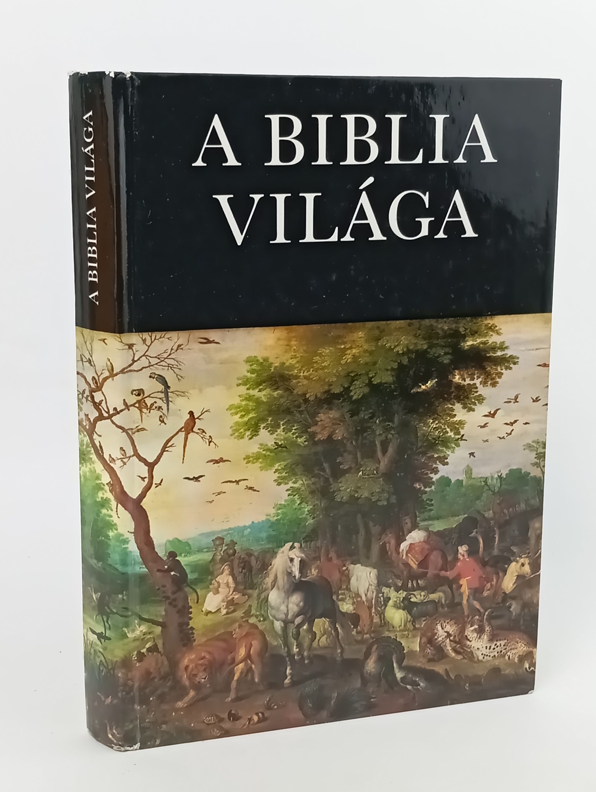 Обложка: A Biblia Vilaga