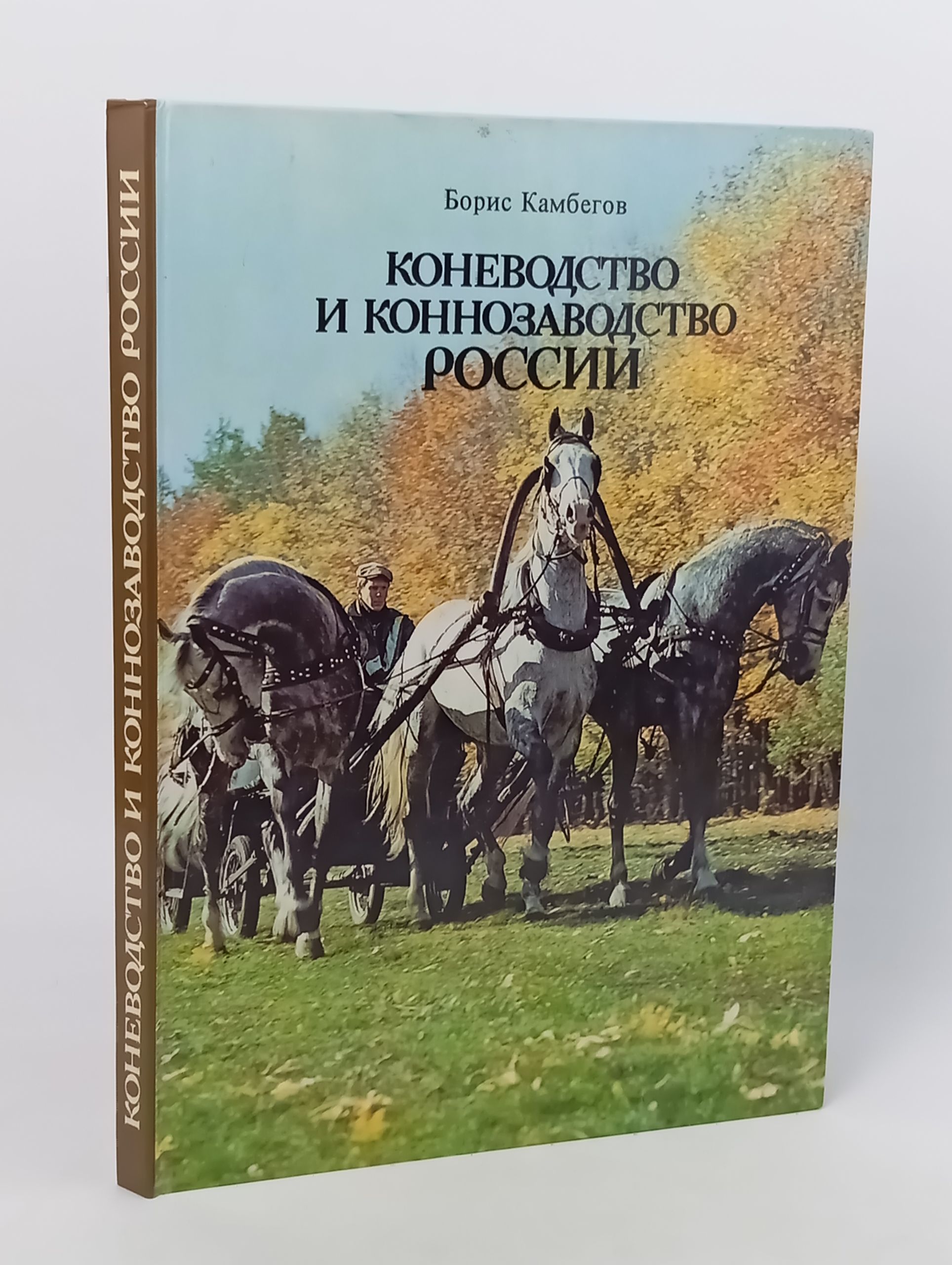 Обложка: Коневодство и коннозаводство России