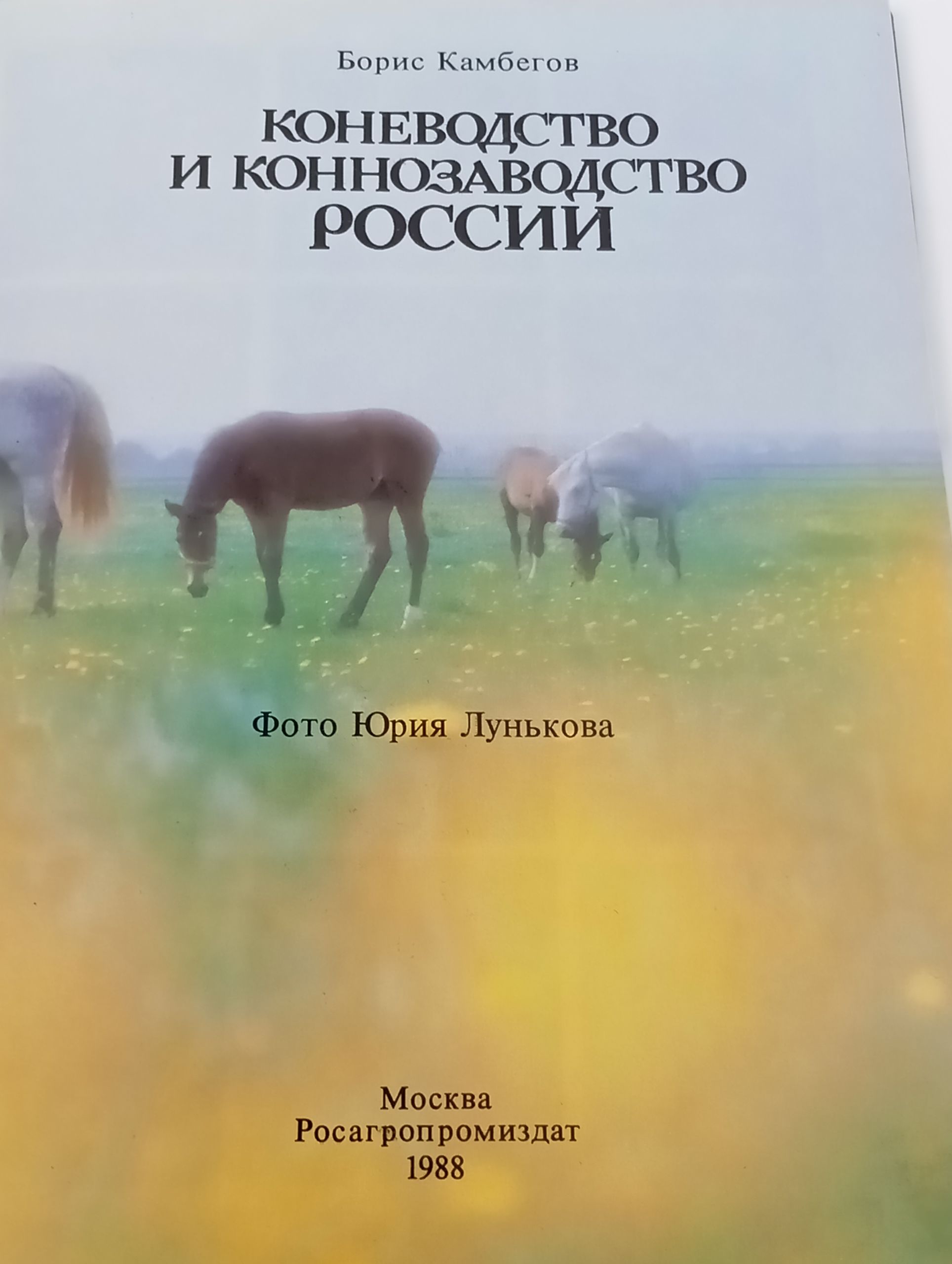 Коневодство и коннозаводство России