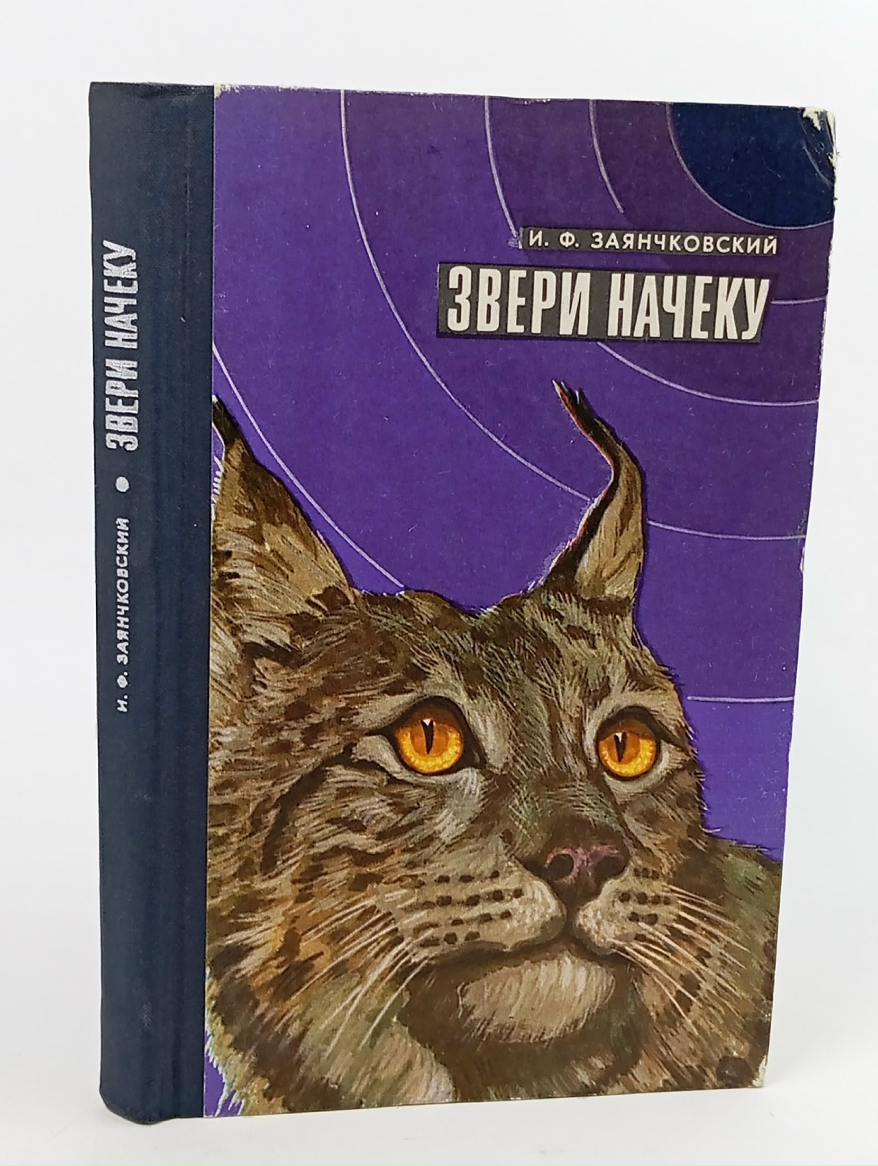 Обложка: Звери начеку
