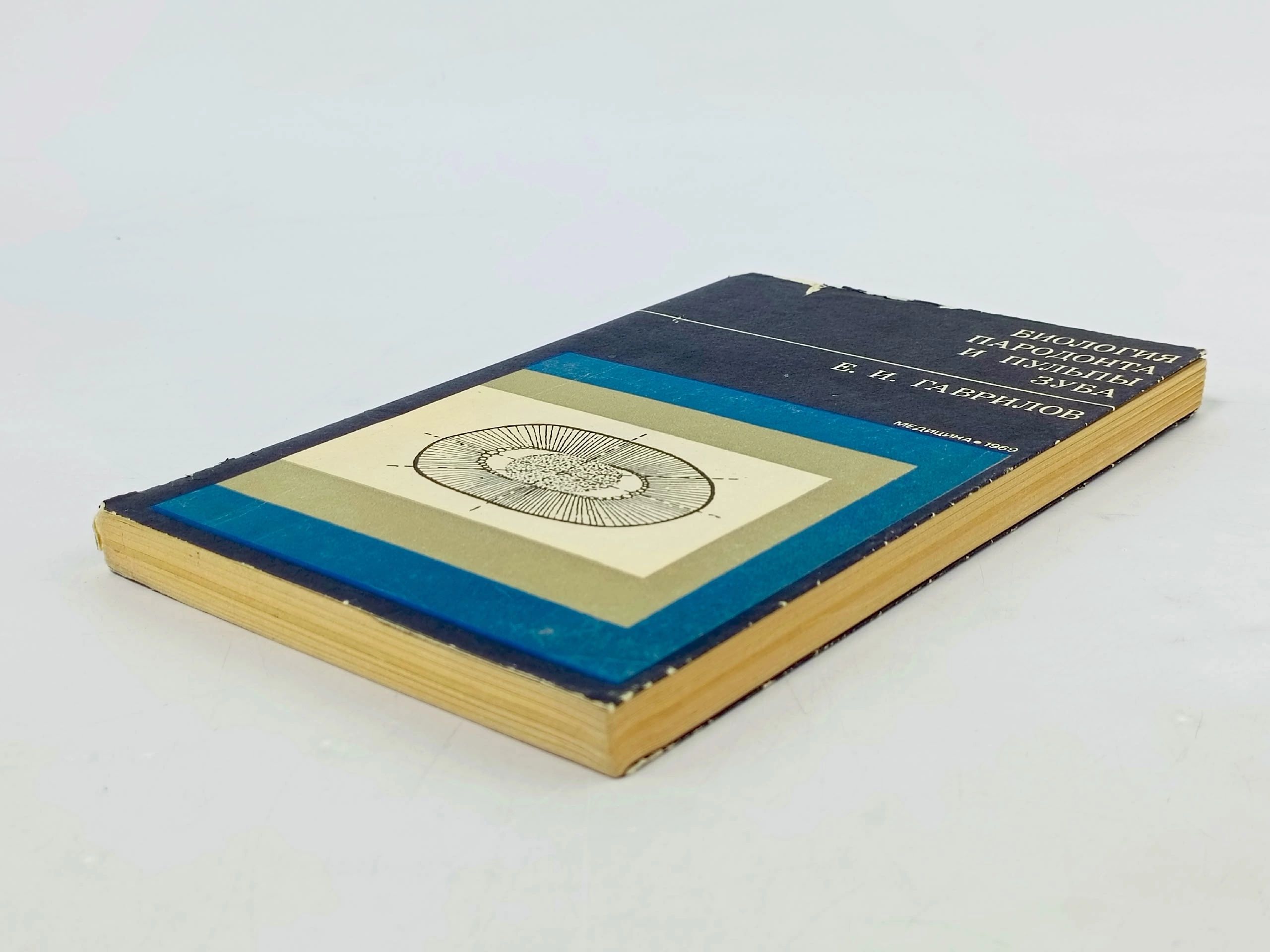 Биология пародонта и пульпы зуба