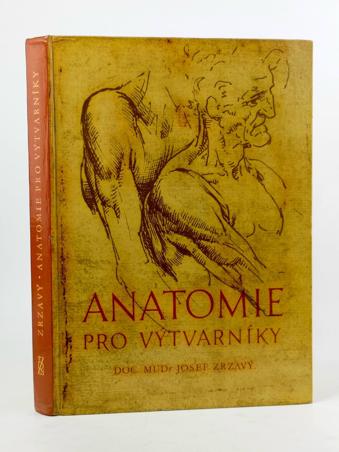 Обложка: Anatomie pro vytvarniky