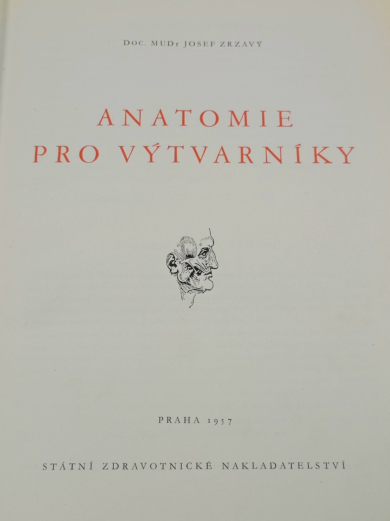 Anatomie pro vytvarniky
