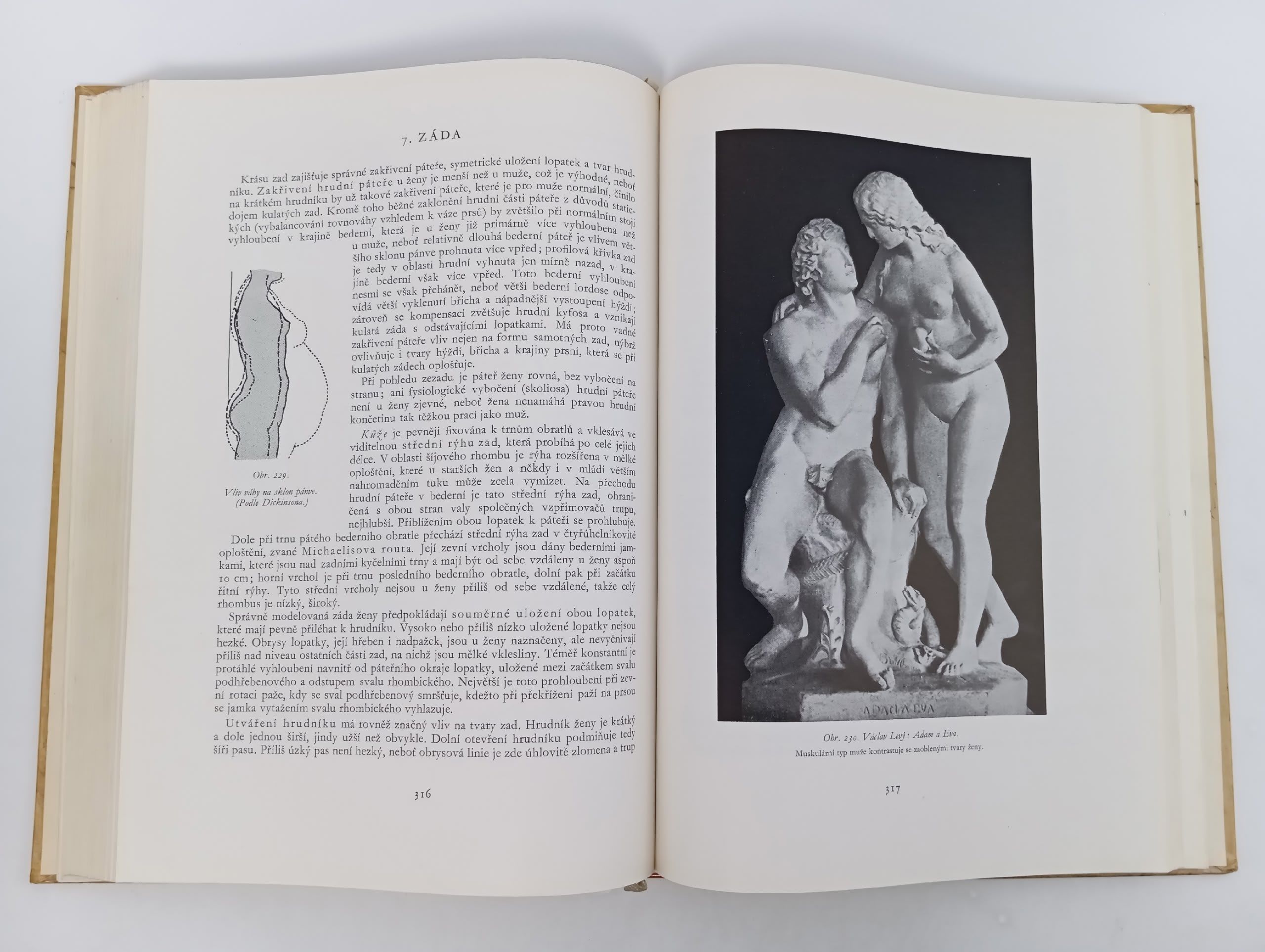 Anatomie pro vytvarniky